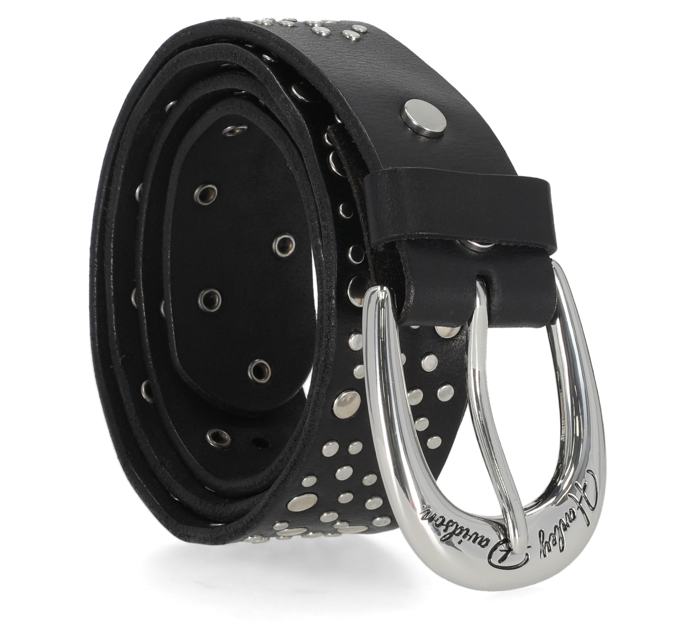 Horsehoe Studded Belt