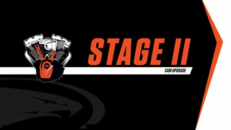 Screaming Eagle Stage II