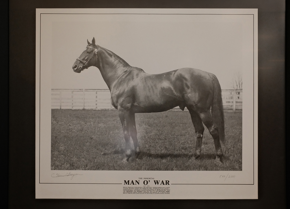 Framed black-and-white portrait of legendary racehorse Man O’ War displayed on a dealership wall