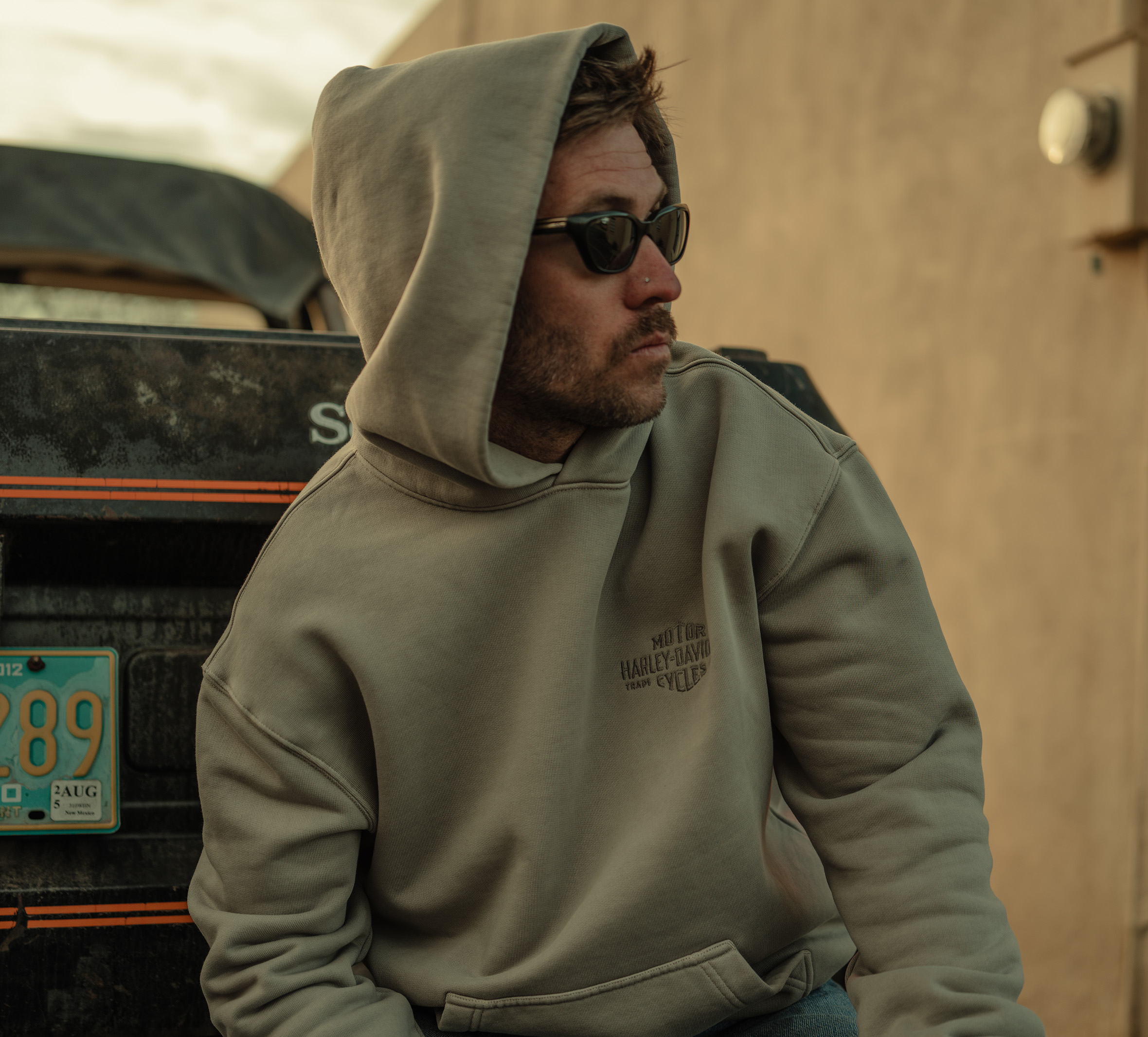 Originals Standard Issue Hoodie Sweatshirt