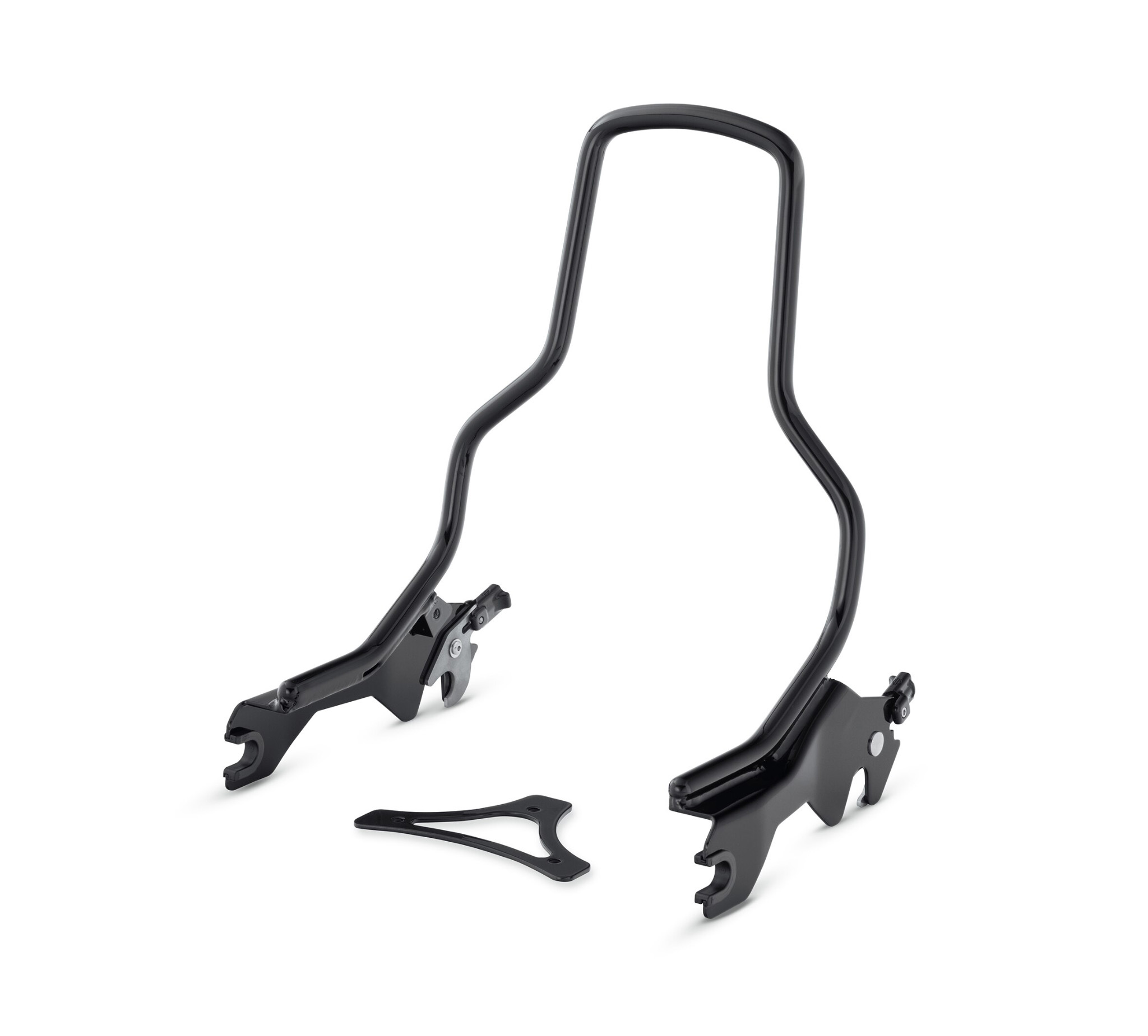 HoldFast Sissy Bar Upright - Standard Height - Gloss Black