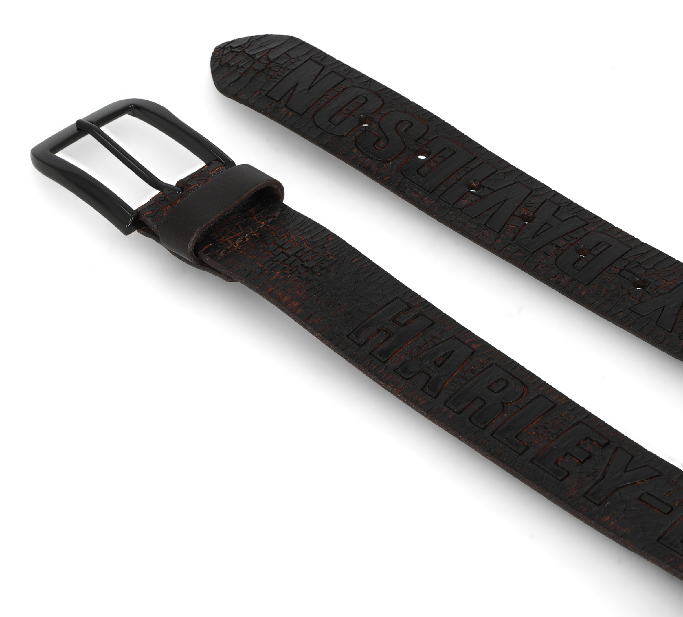 Ceinture Harley-Davidson à motif terre craquelée en relief pour hommes