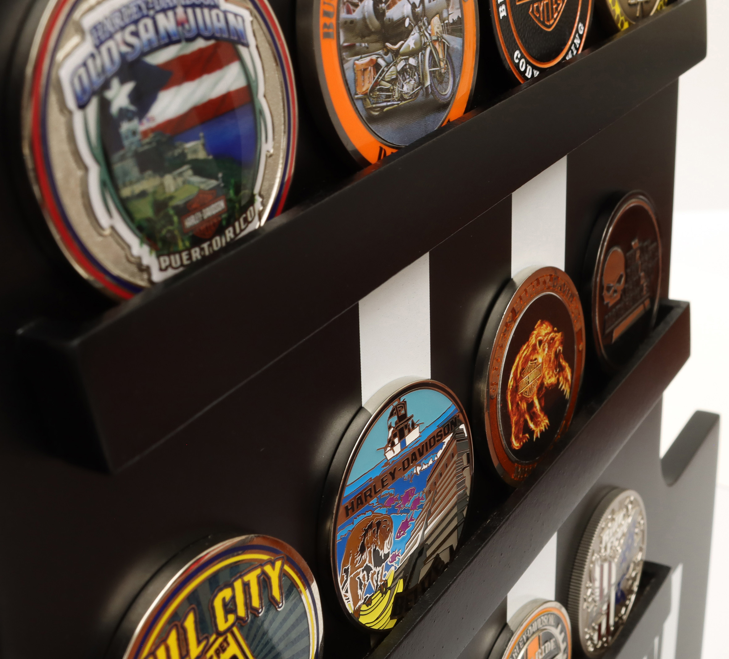 Longtooth Coin Display