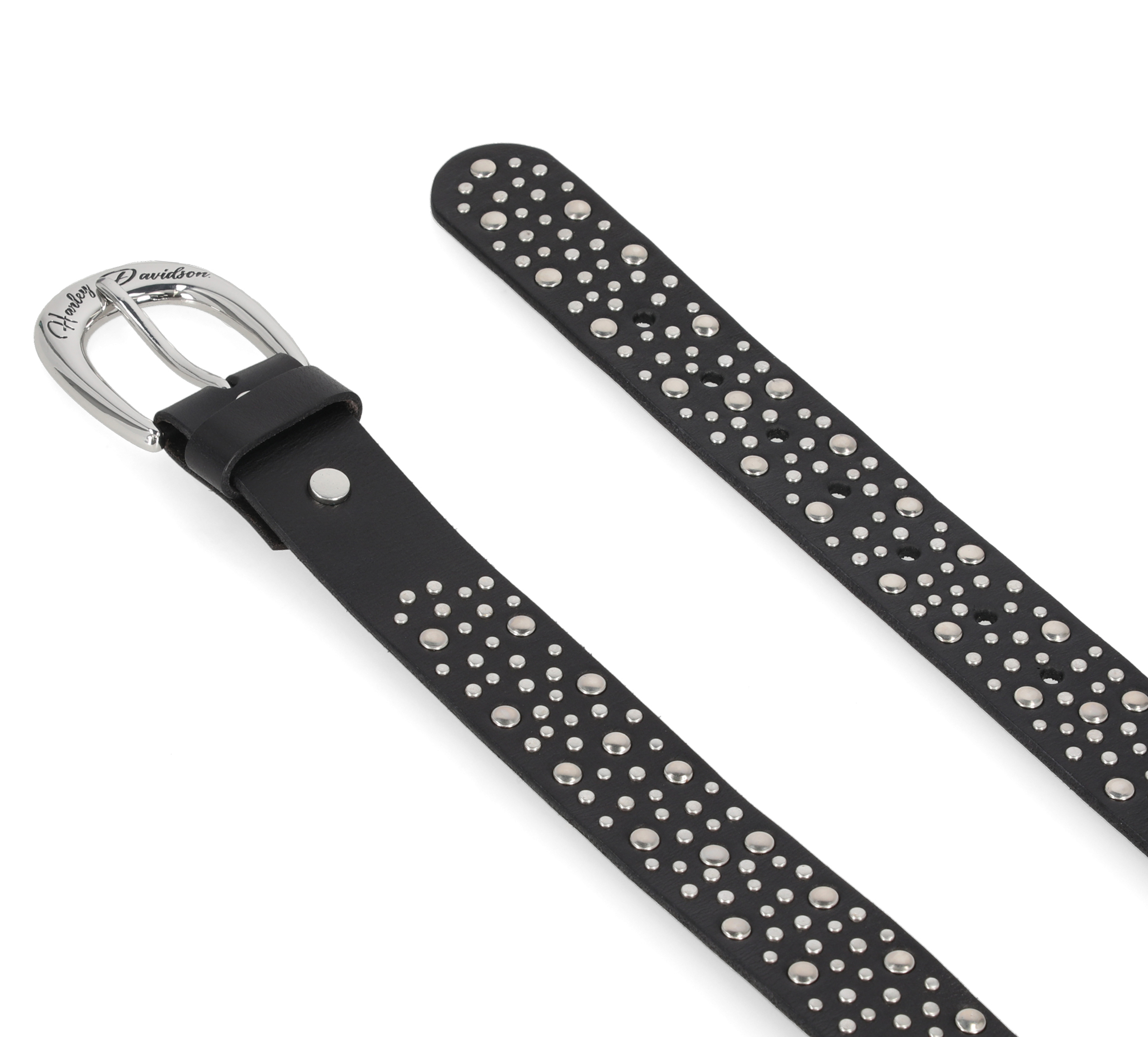 Horsehoe Studded Belt