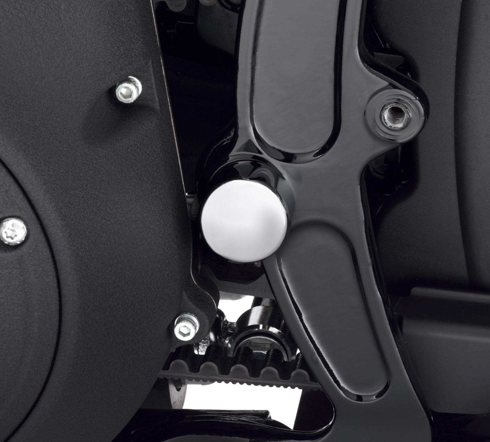 Swingarm Pivot Bolt Covers