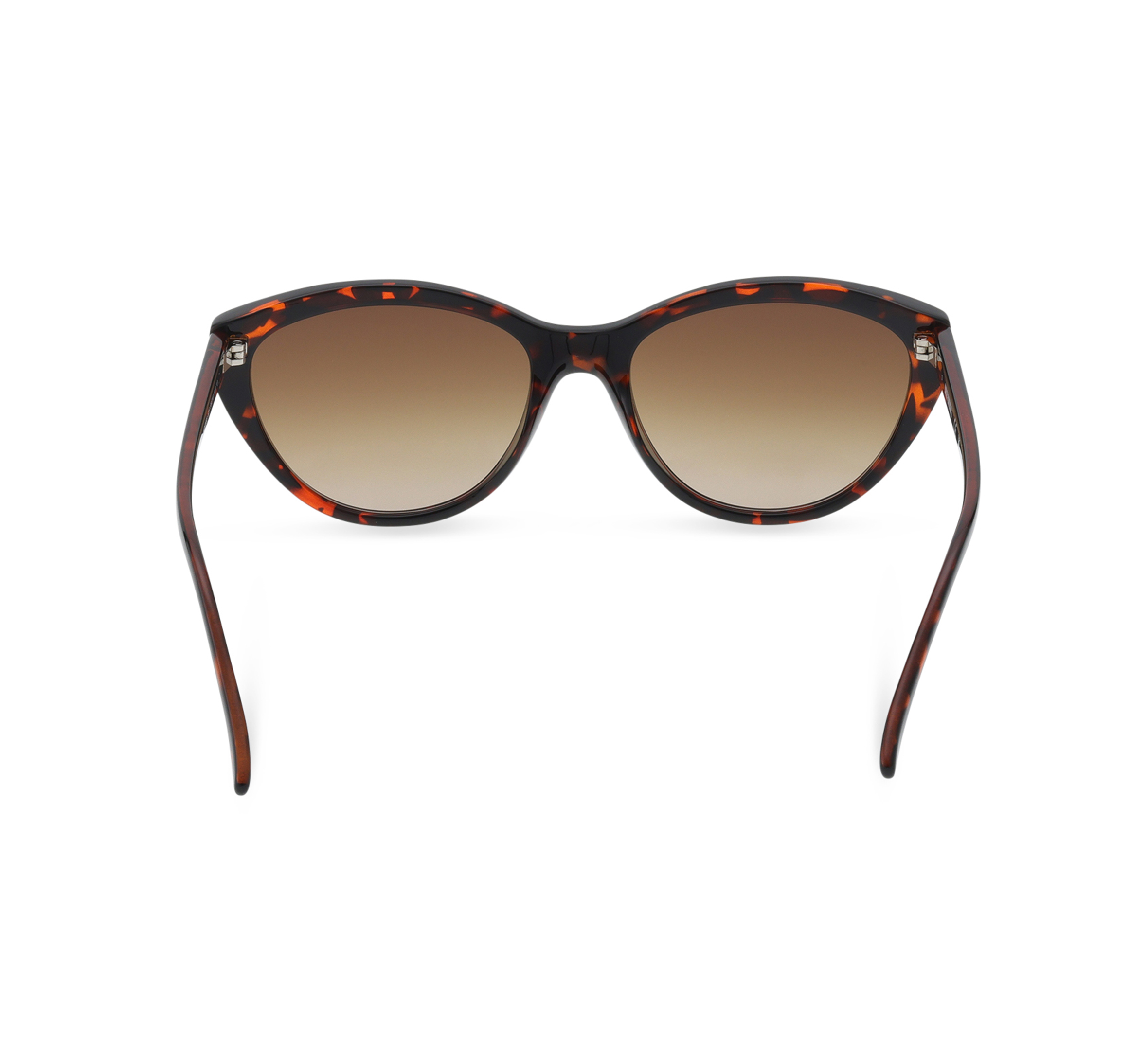 Rim Cat Eye Lifestyle Sunglasses