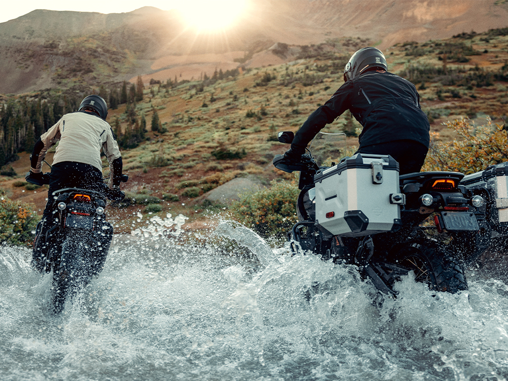 Two Pan America Special off roading