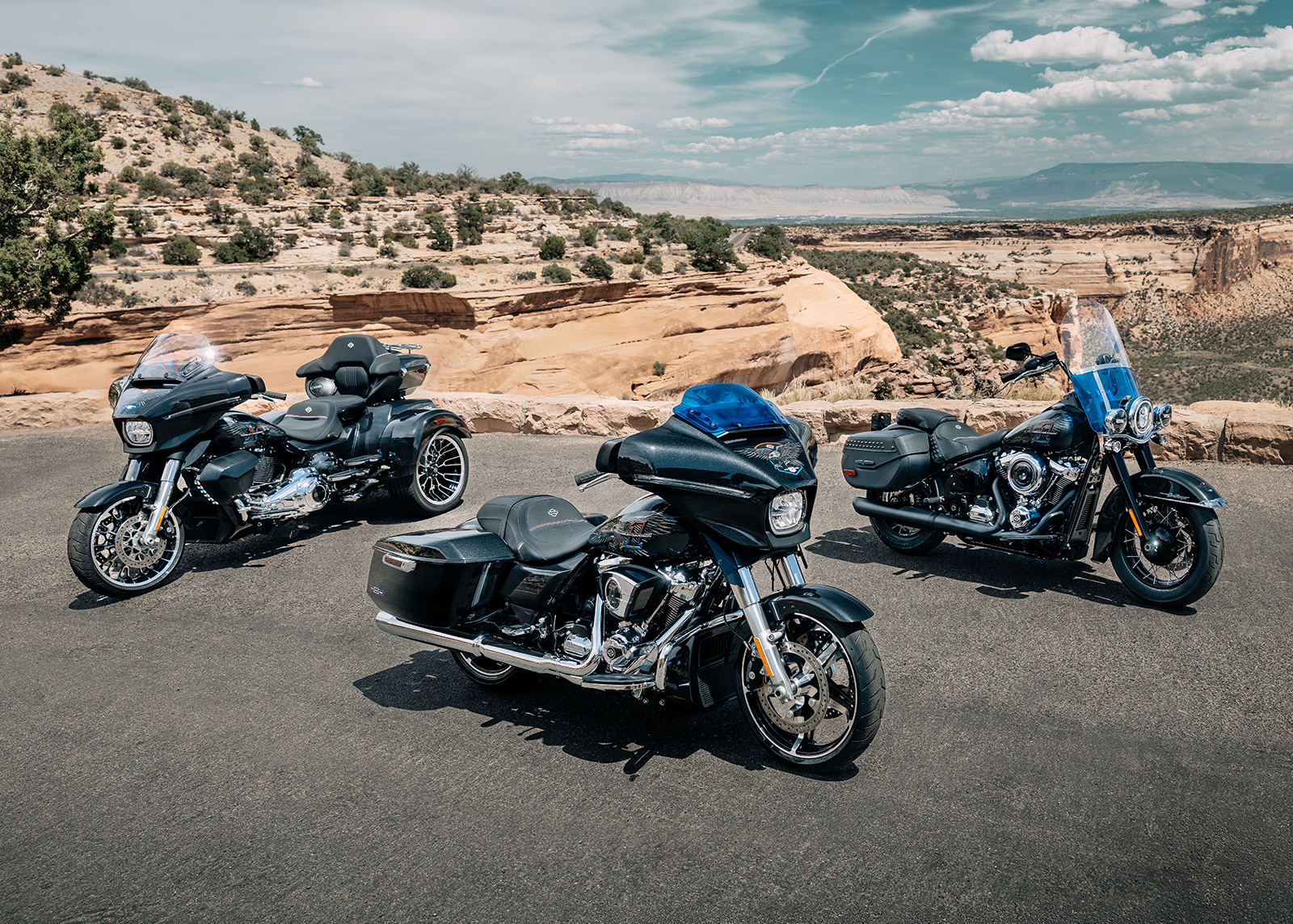 Photo des modèles Liberty Edition 2026 de la Collection Enthusiast