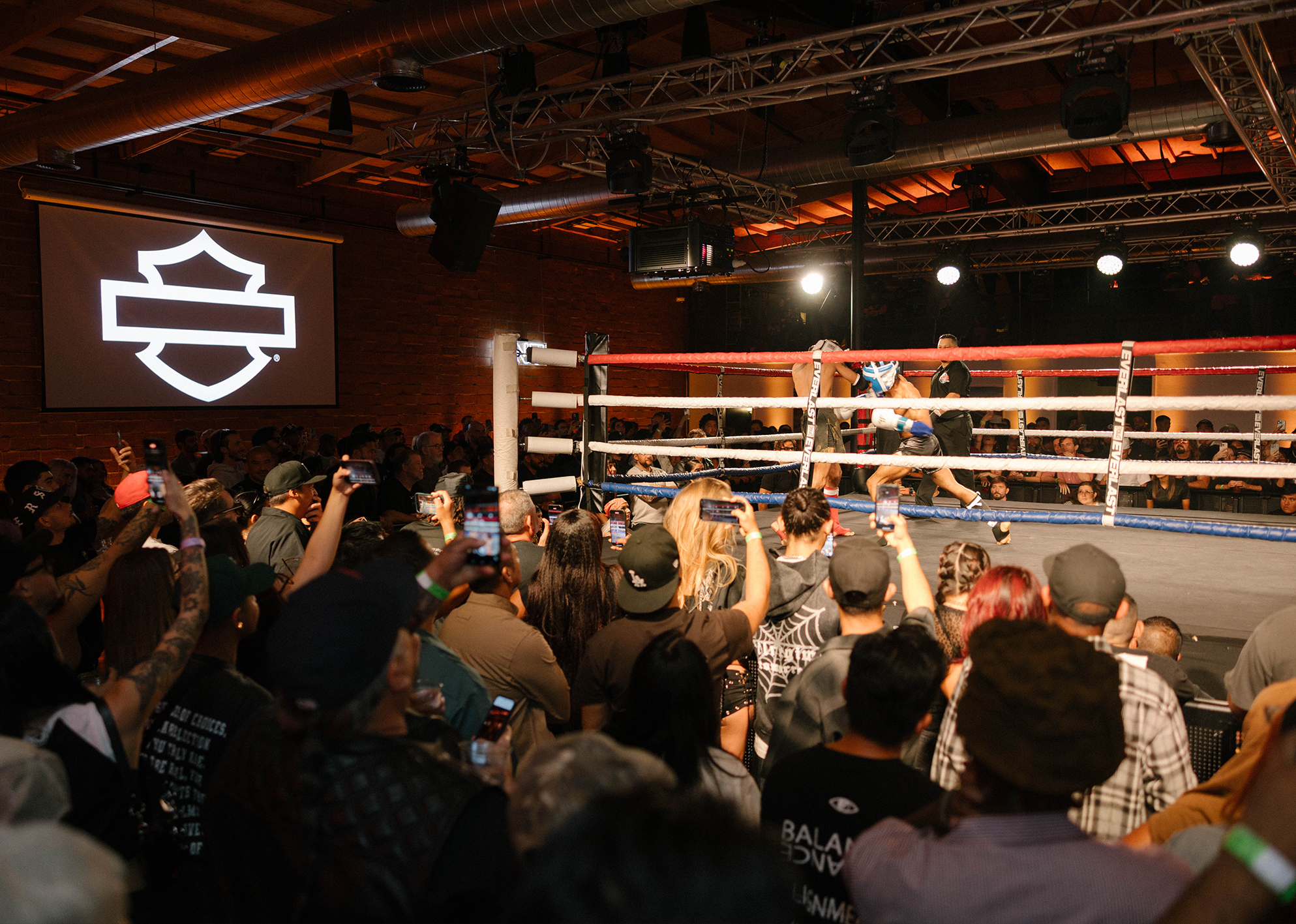 Wide shot of a large crowd watching a boxing match in progress inside a ring, with many spectators filming on phones and a large Harley-Davidson logo projected on the wall.