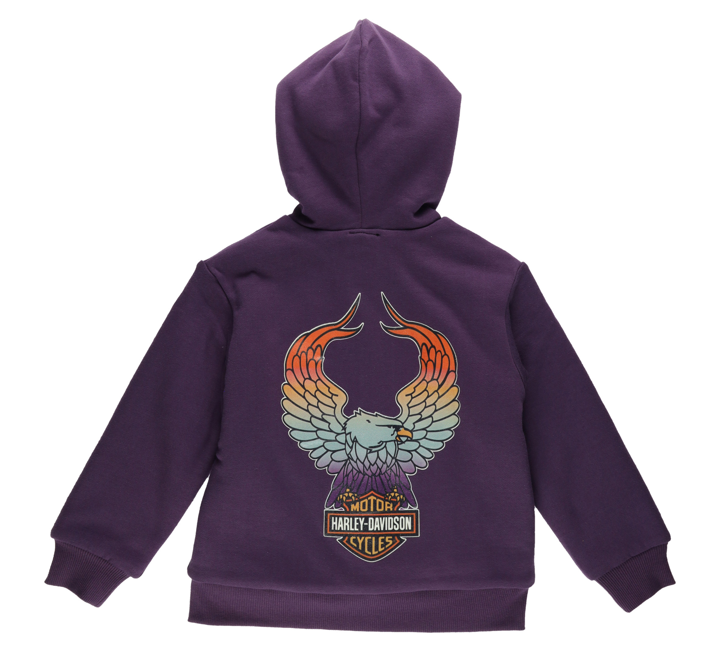 Toddler Girls Bar & Shield Sherpa Lined Fleece Hoodie