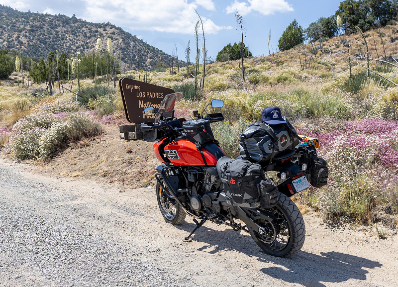 Red H-D Pan America motorcycle loaded with gear parked on dirt road near trailhead sign and wildflowers
