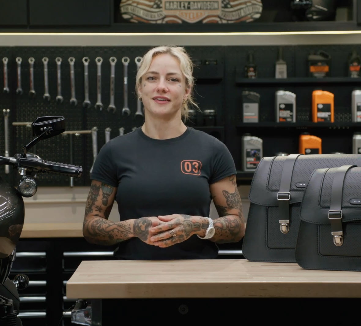 H-D Detachables Satteltaschen