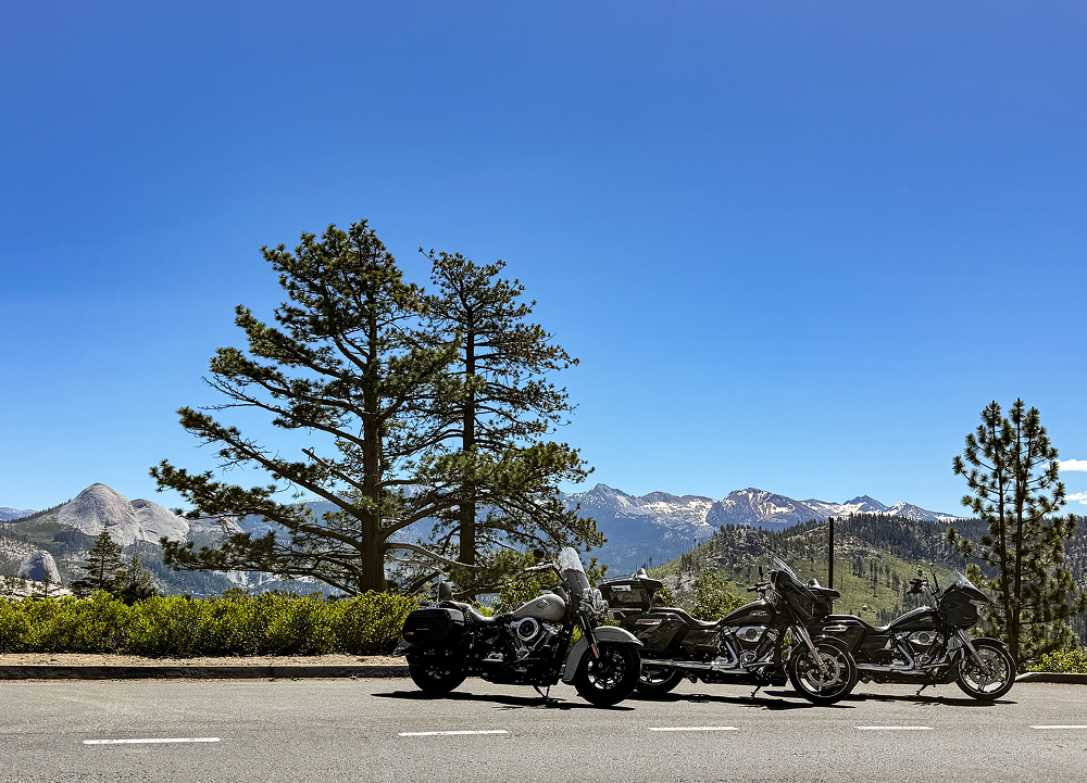 Three Harley-Davidson motorcycles parked at a mountain overlook beneath pine trees and a clear blue sky
