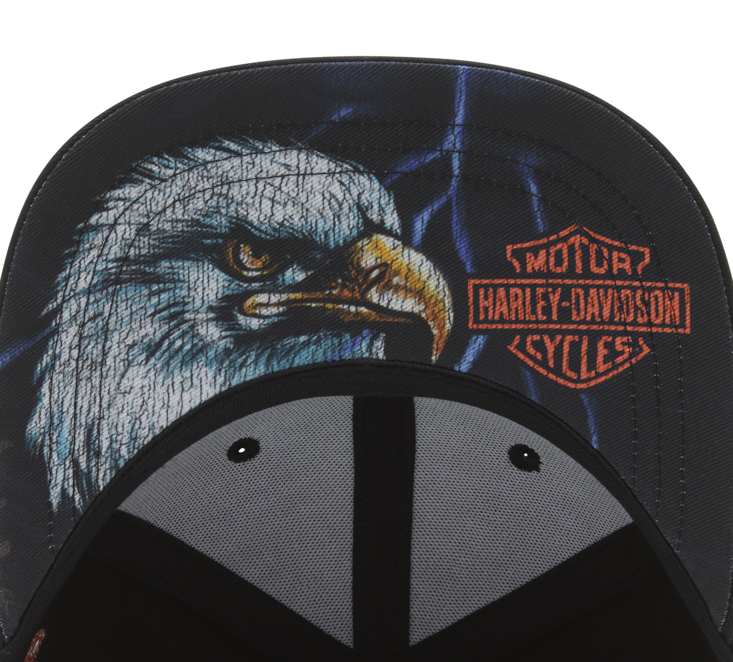 Lightning Eagle Panhead Fitted Cap