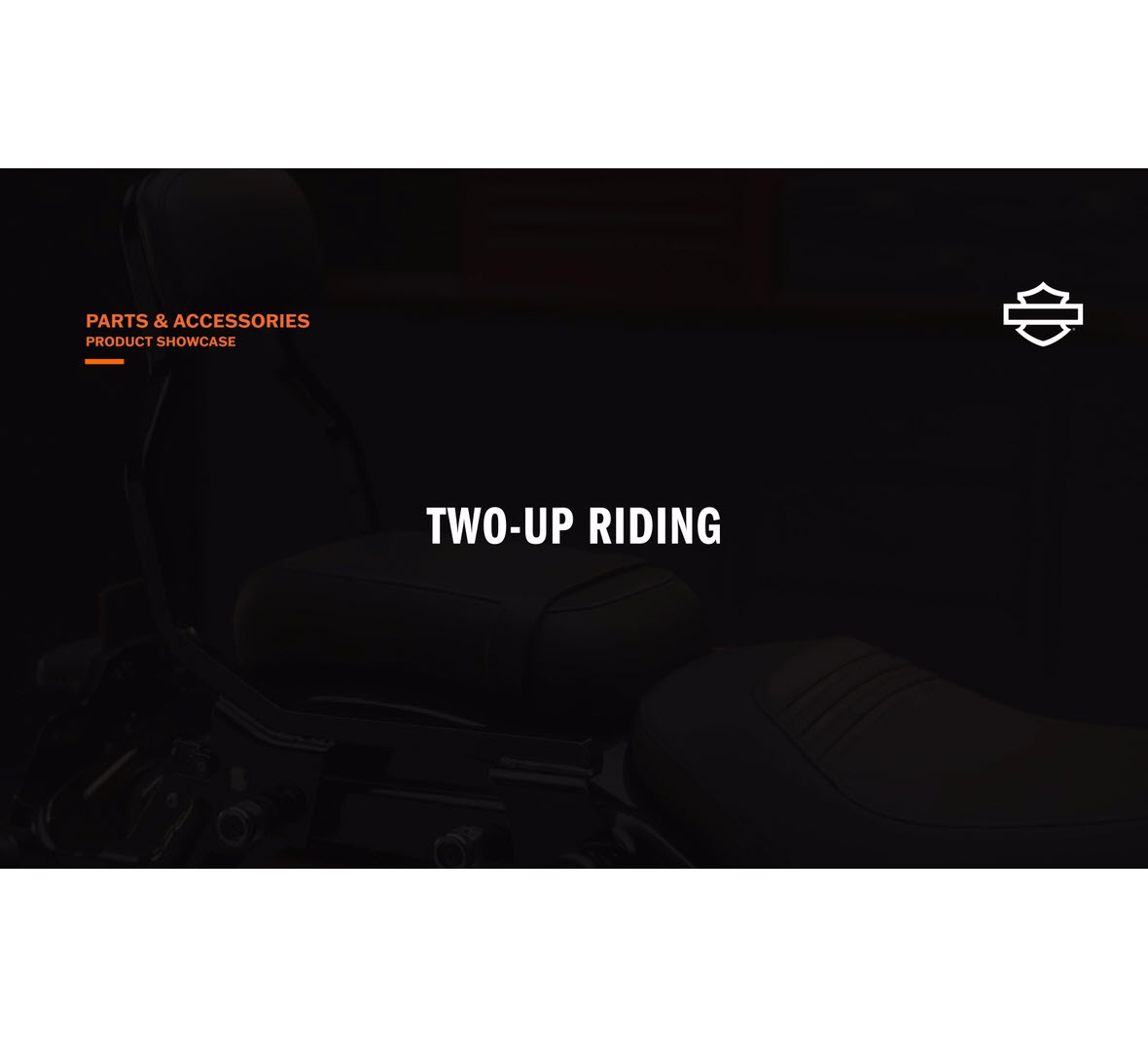 Passenger Footpeg Mount and Peg Kit