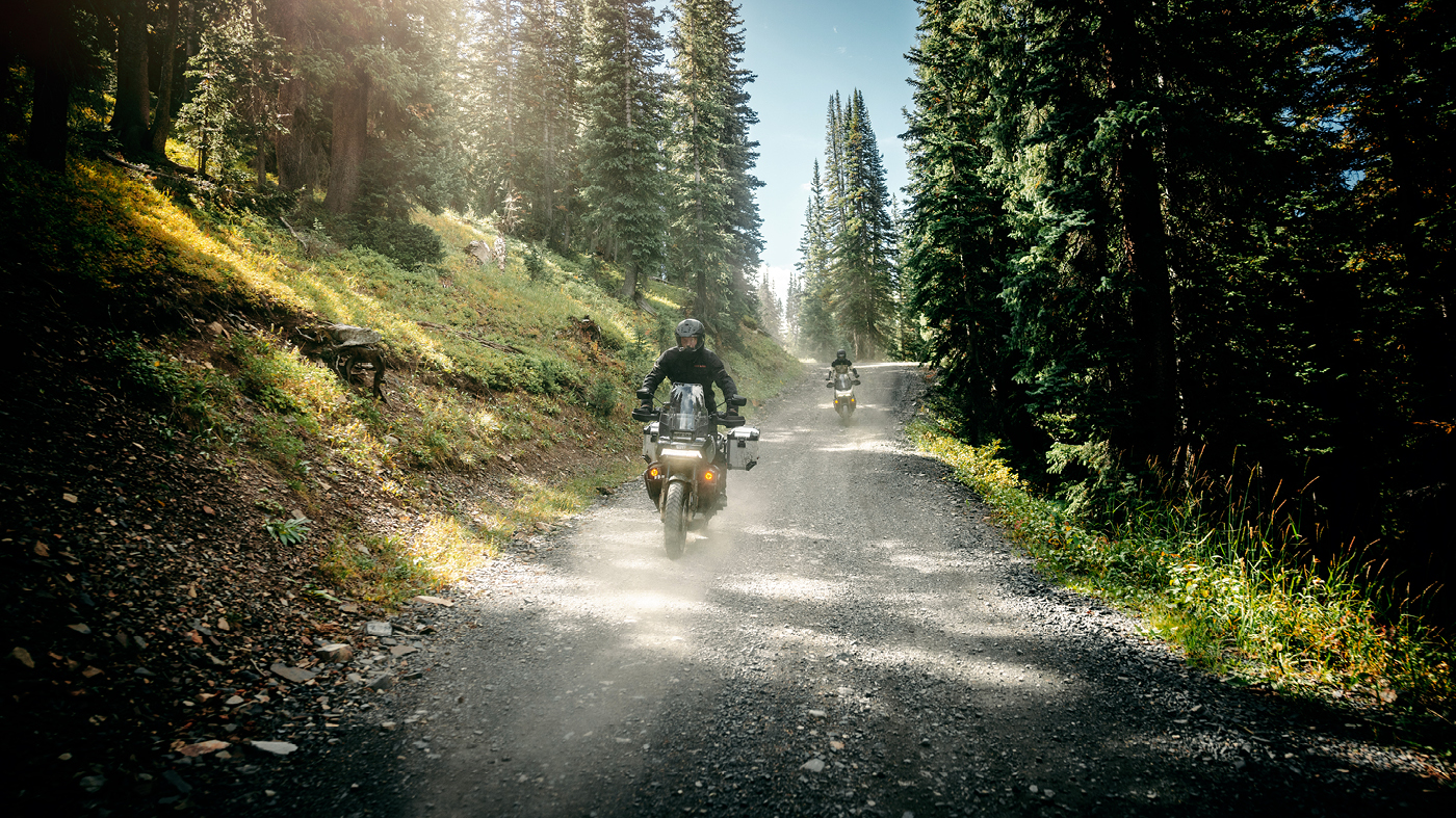 Bikers riding through wooded trail