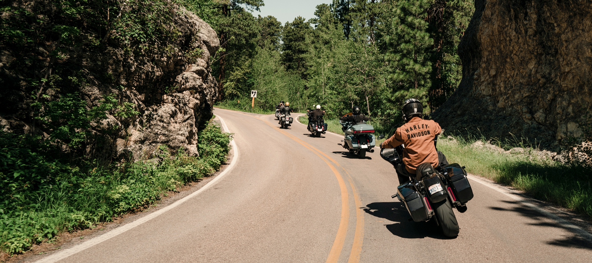 Group of H-D riders carving through winding forest road with rock formations and tall trees lining scenic route