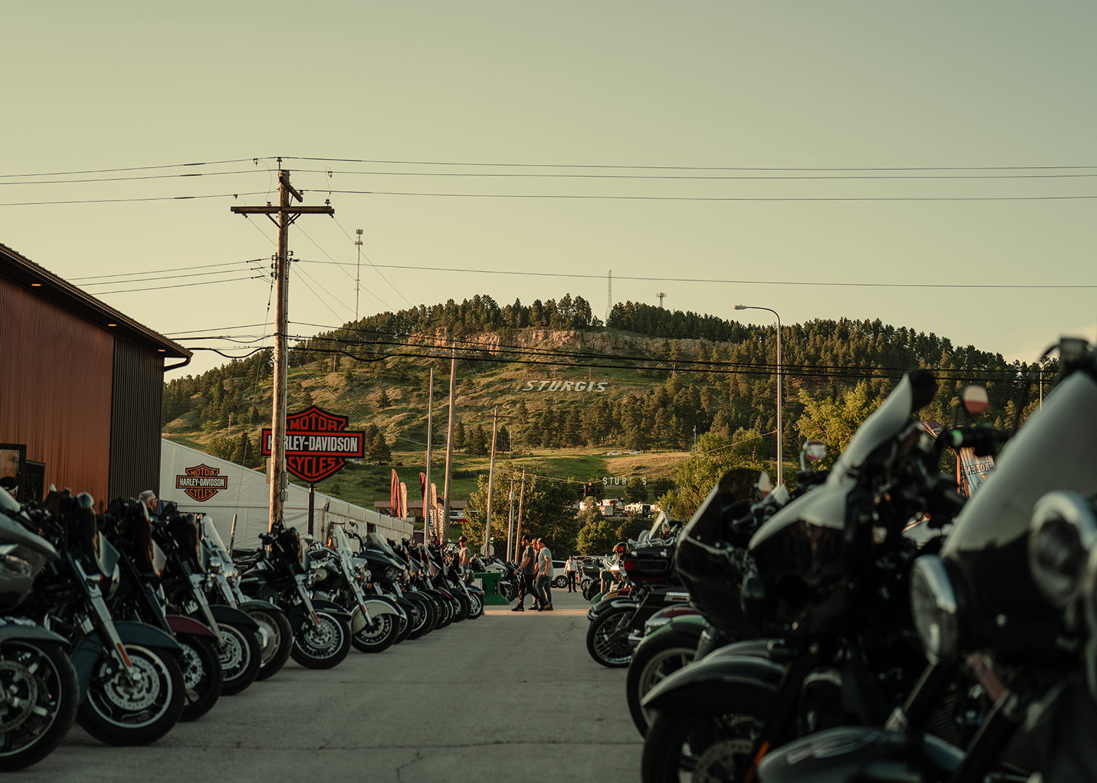 Rows of Harley-Davidson motorcycles lined up in Sturgis with hillside sign in the background.