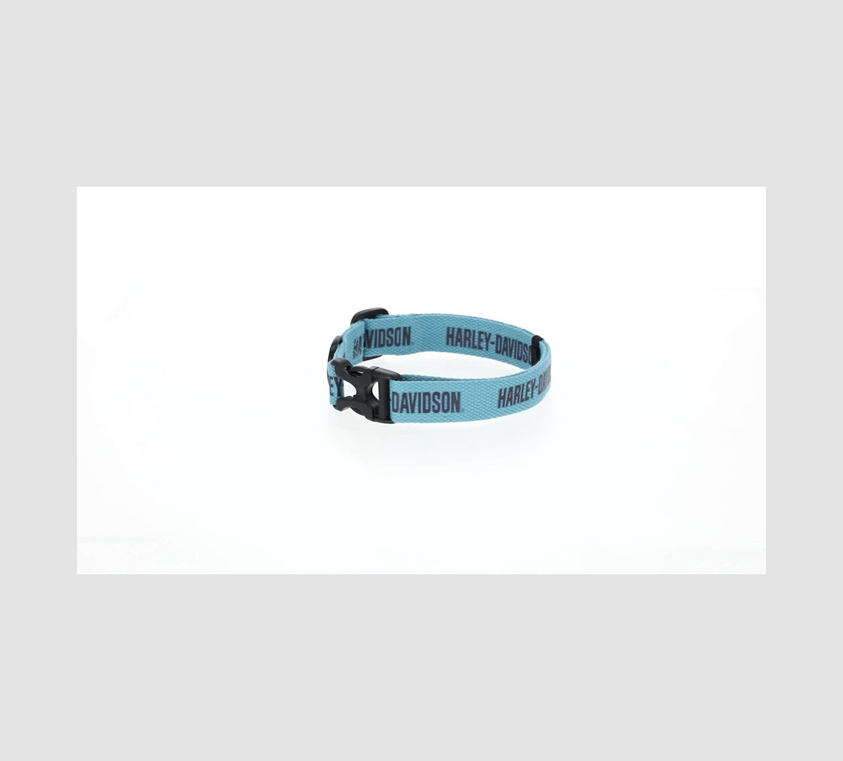 Harley-Davidson Collar