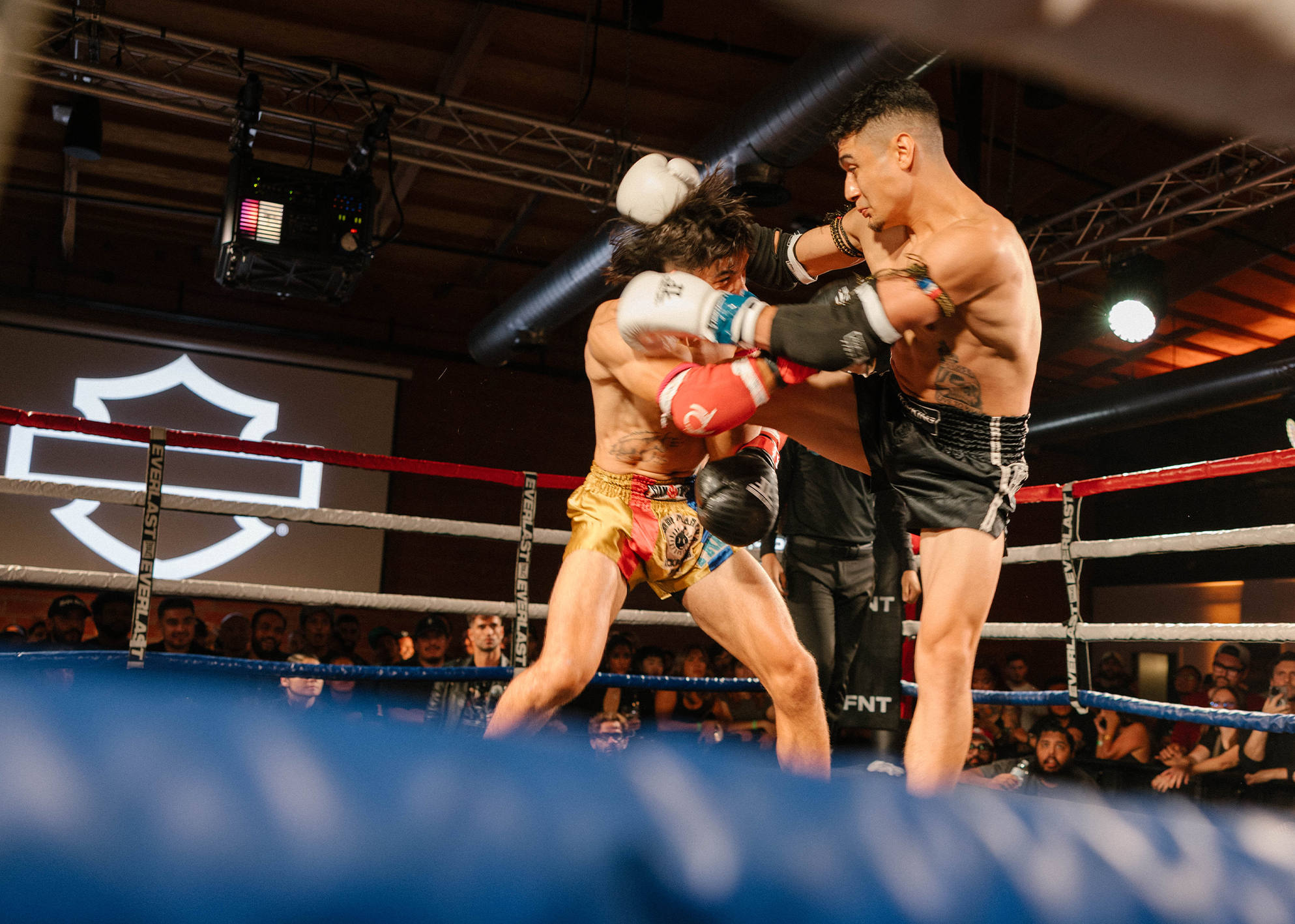 Fighter in black trunks lands a powerful knee strike on opponent in gold shorts during a match.
