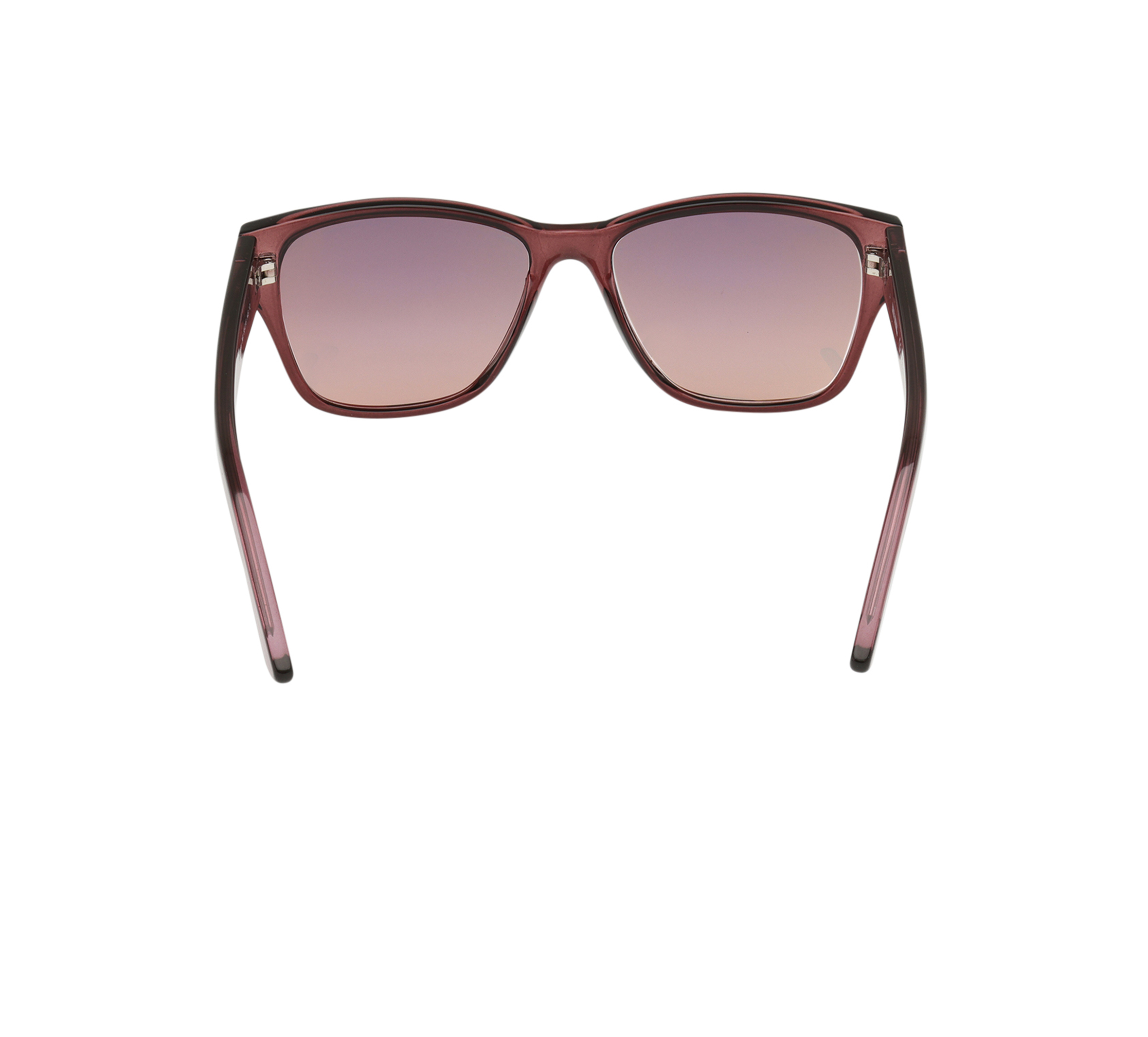 Wayfarer Lifestyle  Sunglasses