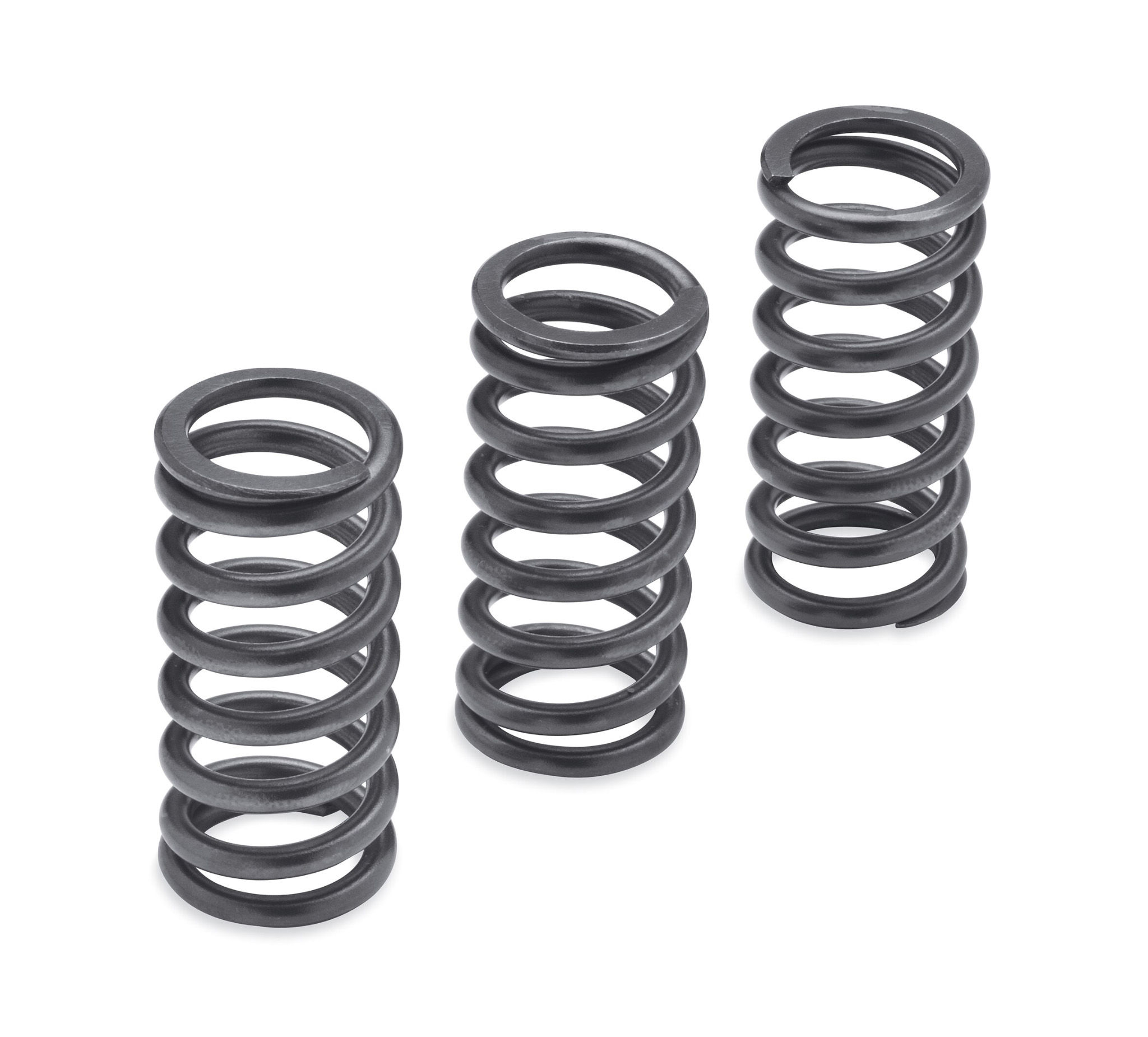 Milwaukee-Eight Engine Clutch Springs - 1275N