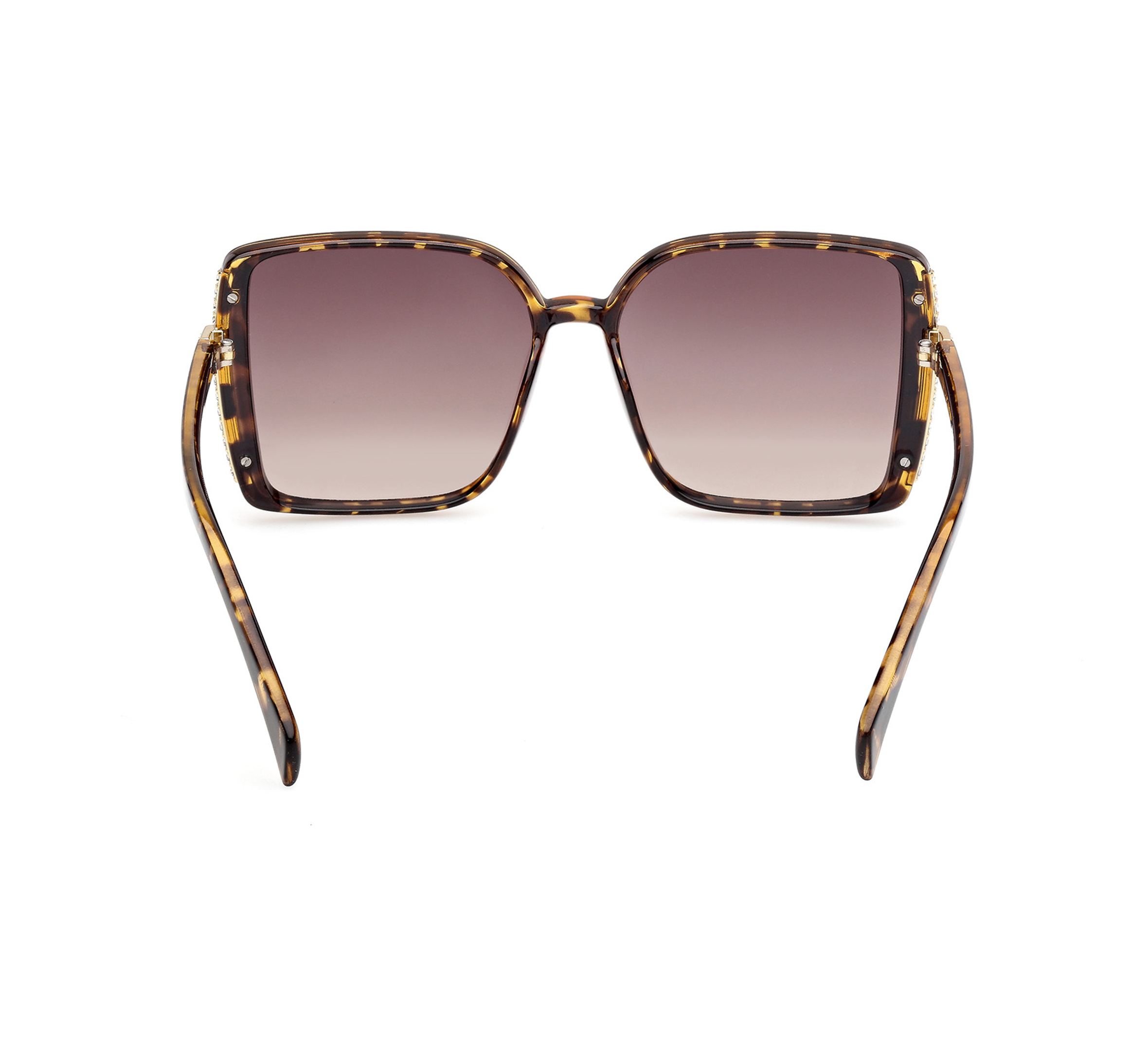 Women's Lifestyles Series