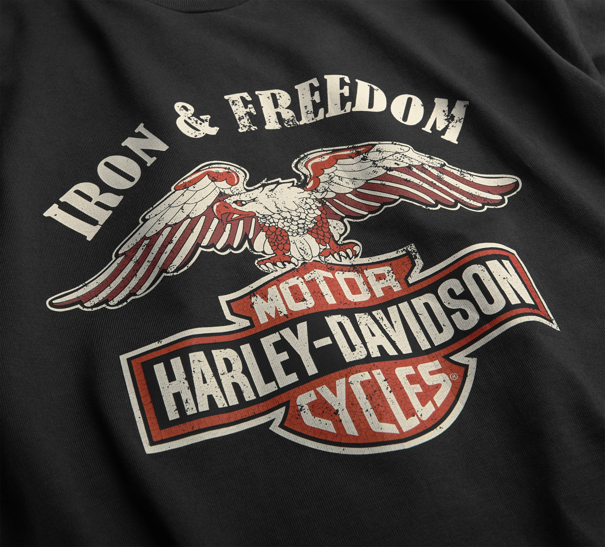 Men's Iron & Freedom Tee