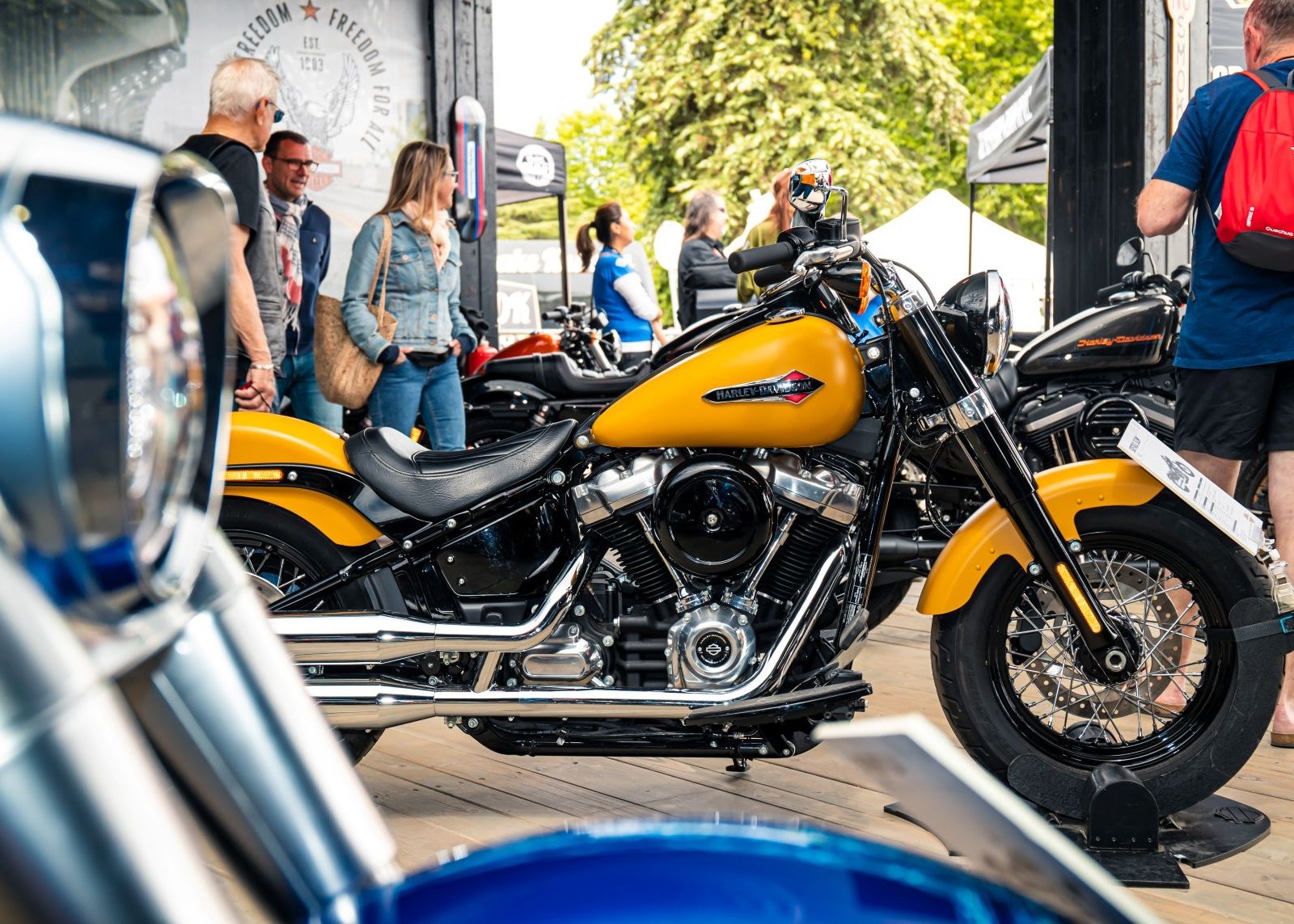 Harley-Davidson motorcycles on display