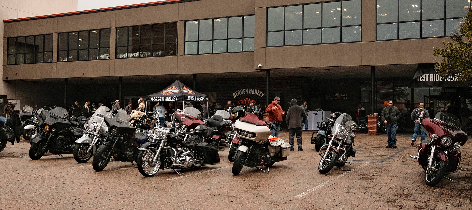A row of Harley motorcycles parked at Bergen H-D for their 50 year anniversary event, including one with a skeleton prop in the seat.
