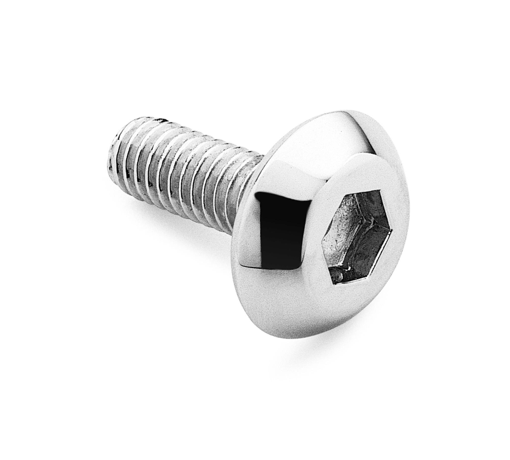 Air Cleaner Screw