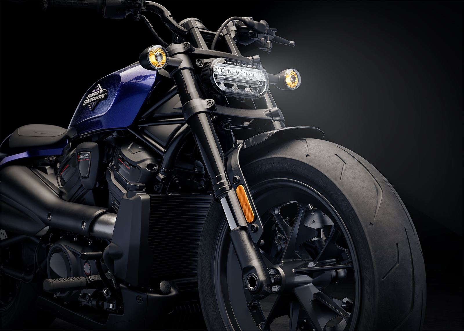 2025 Sportster S Front Forks