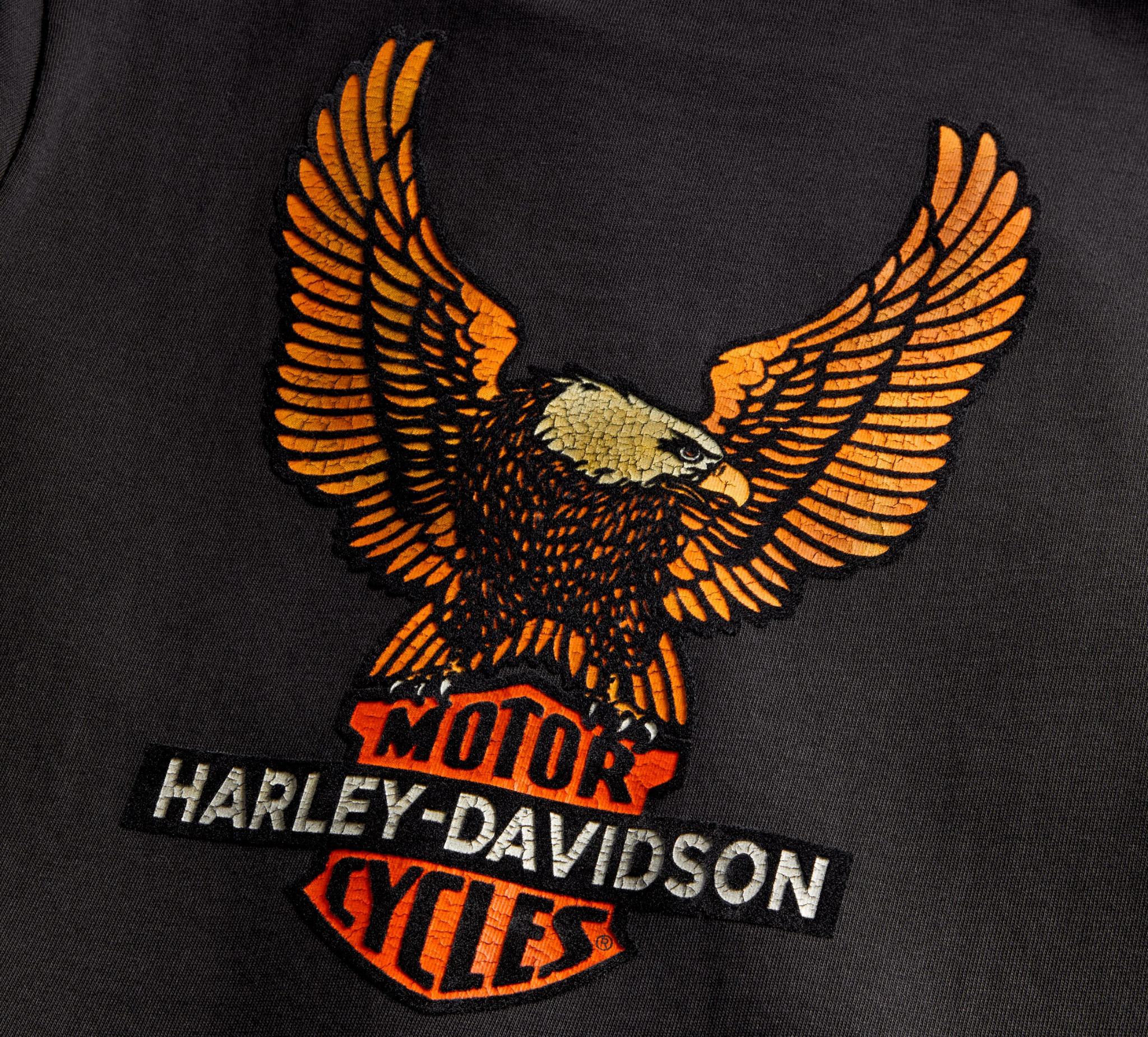 Women's Vintage Eagle Tee