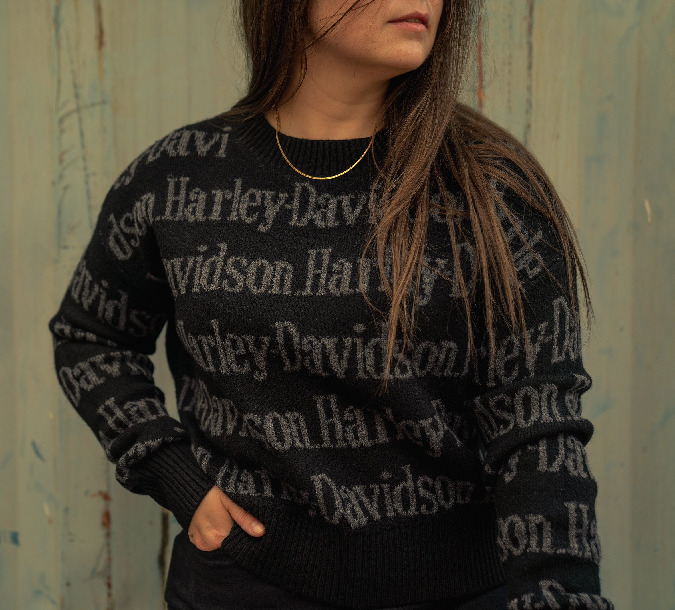 Women's Harley-Davidson Repeat Print Sweater