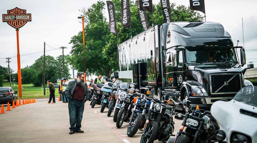 man standing in front of line of parked Harley motorcycles