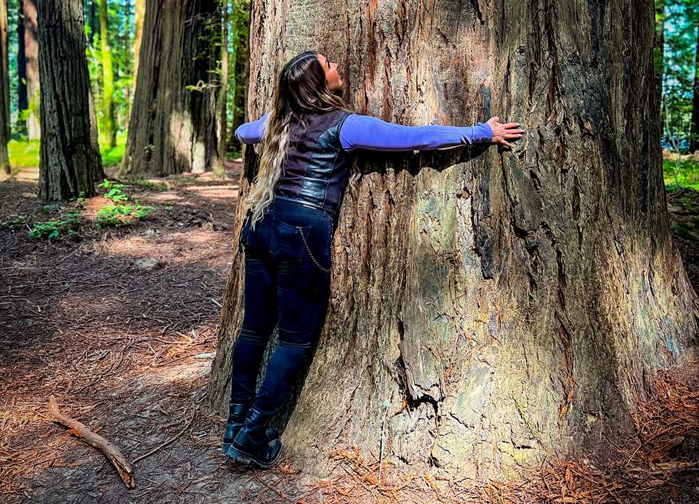 The author embraces the trunk of a giant redwood tree in a peaceful old-growth forest setting