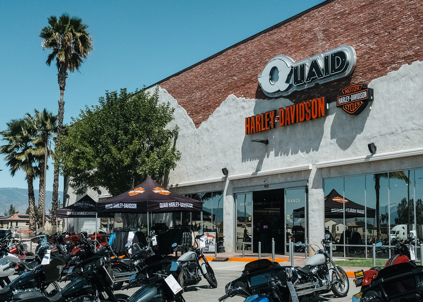 The exterior of Quaid Harley-Davidson dealership with sunshine, palm trees, and bikes and parked out front.