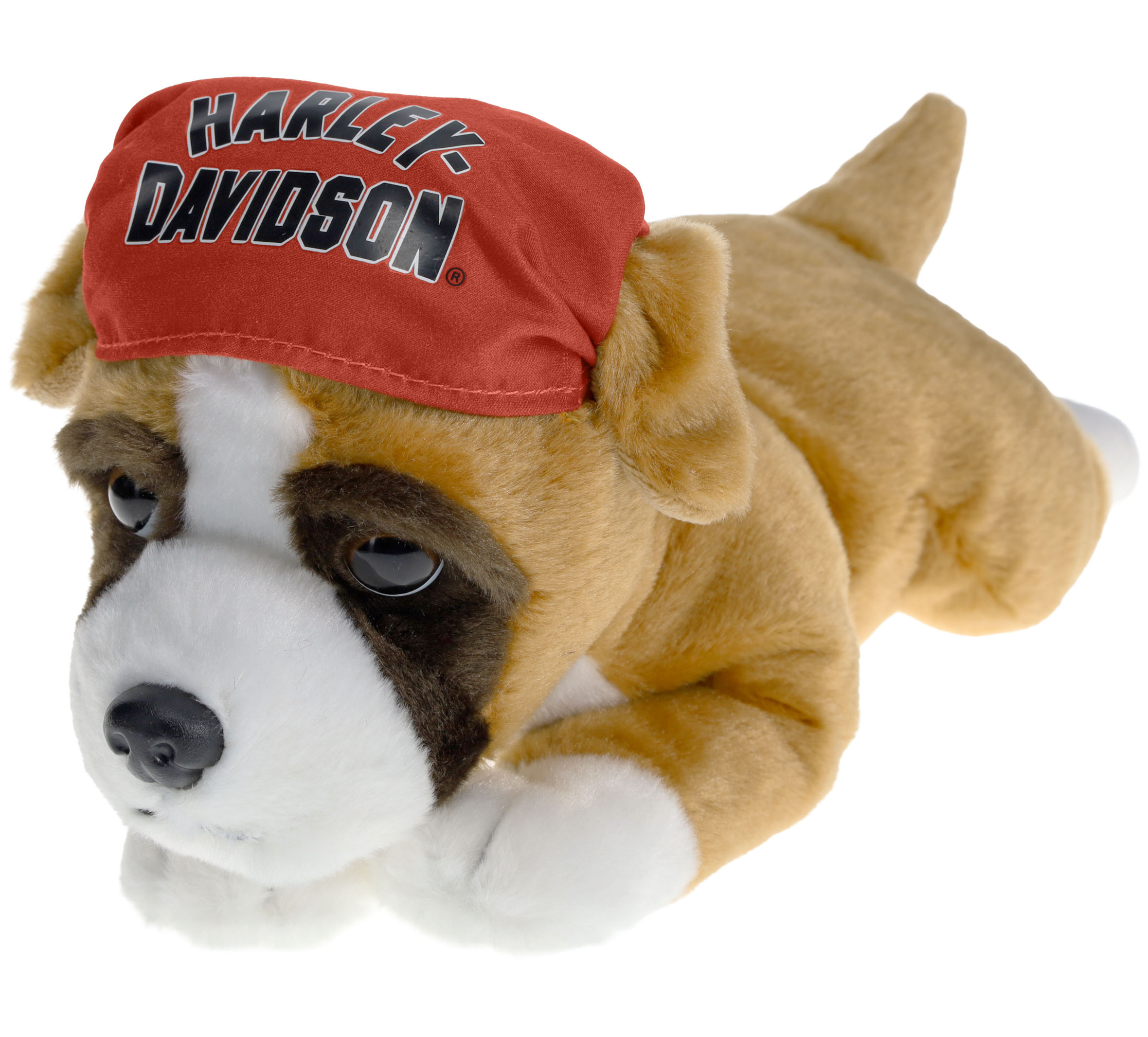 "Babe The Boxer" Plush Cuddle Bud