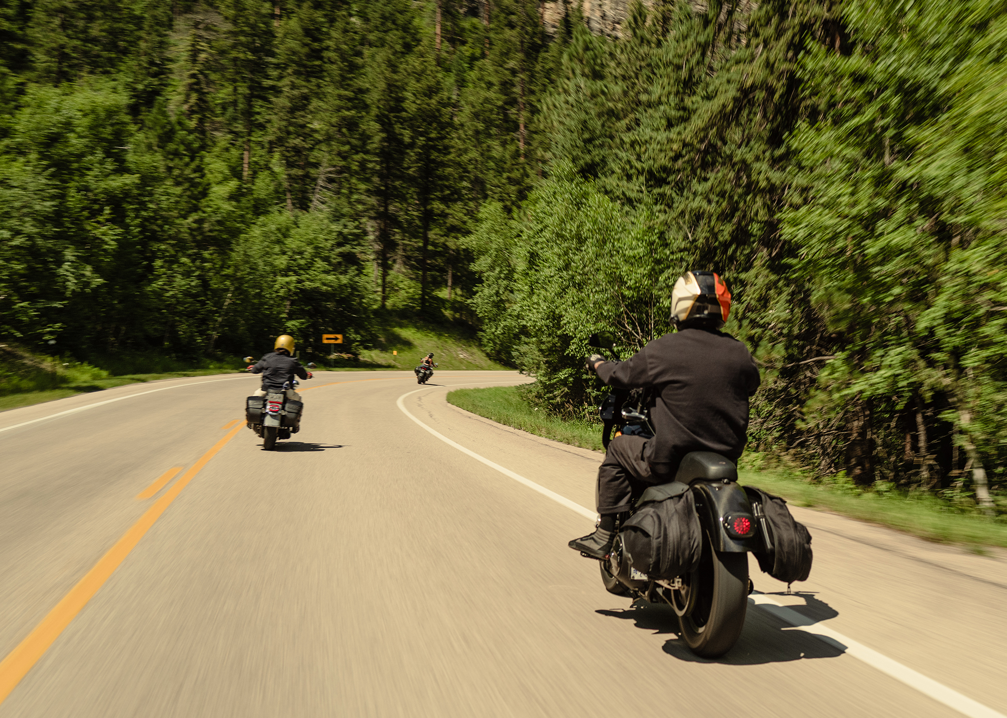 Motorcyclists ride through a winding forest road surrounded by lush green trees.