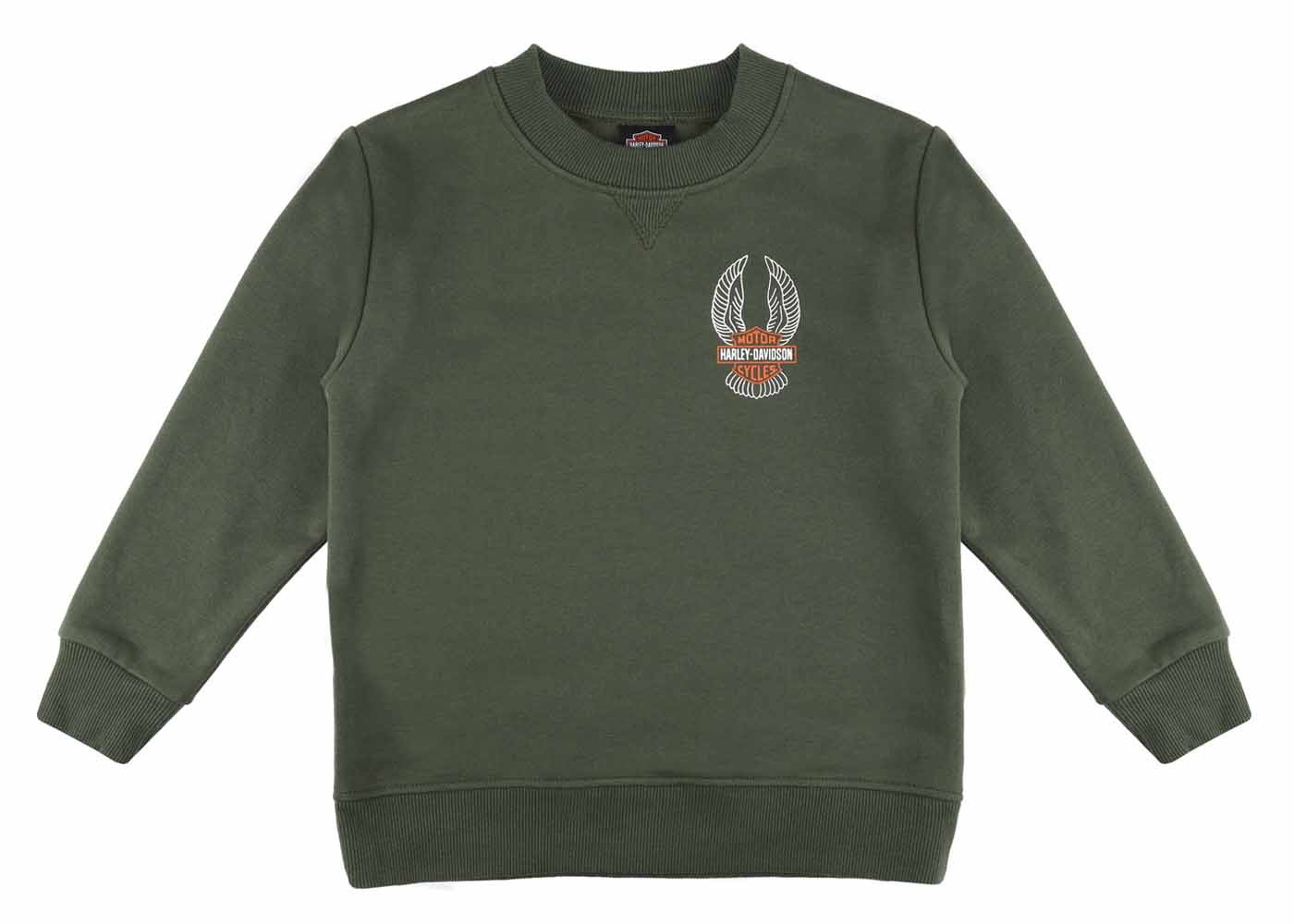 Boys Sweatshirt