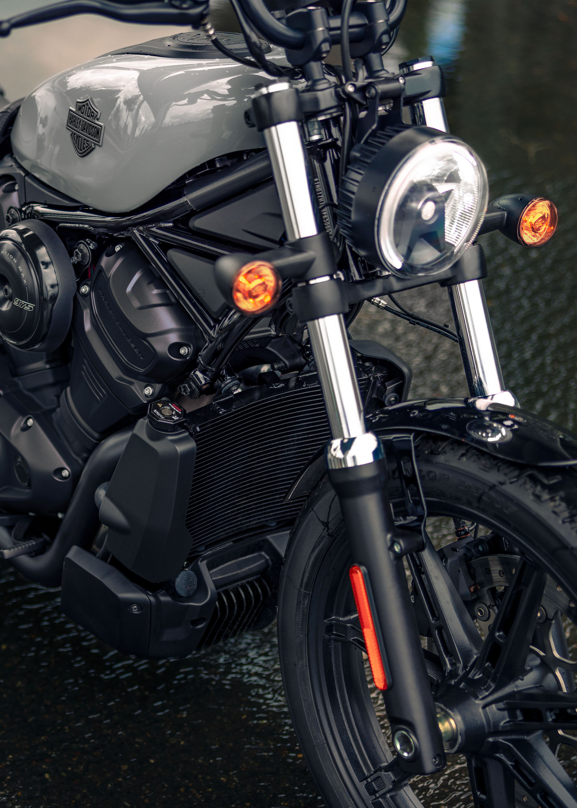 2025 Nightster motorcycle beauty shot