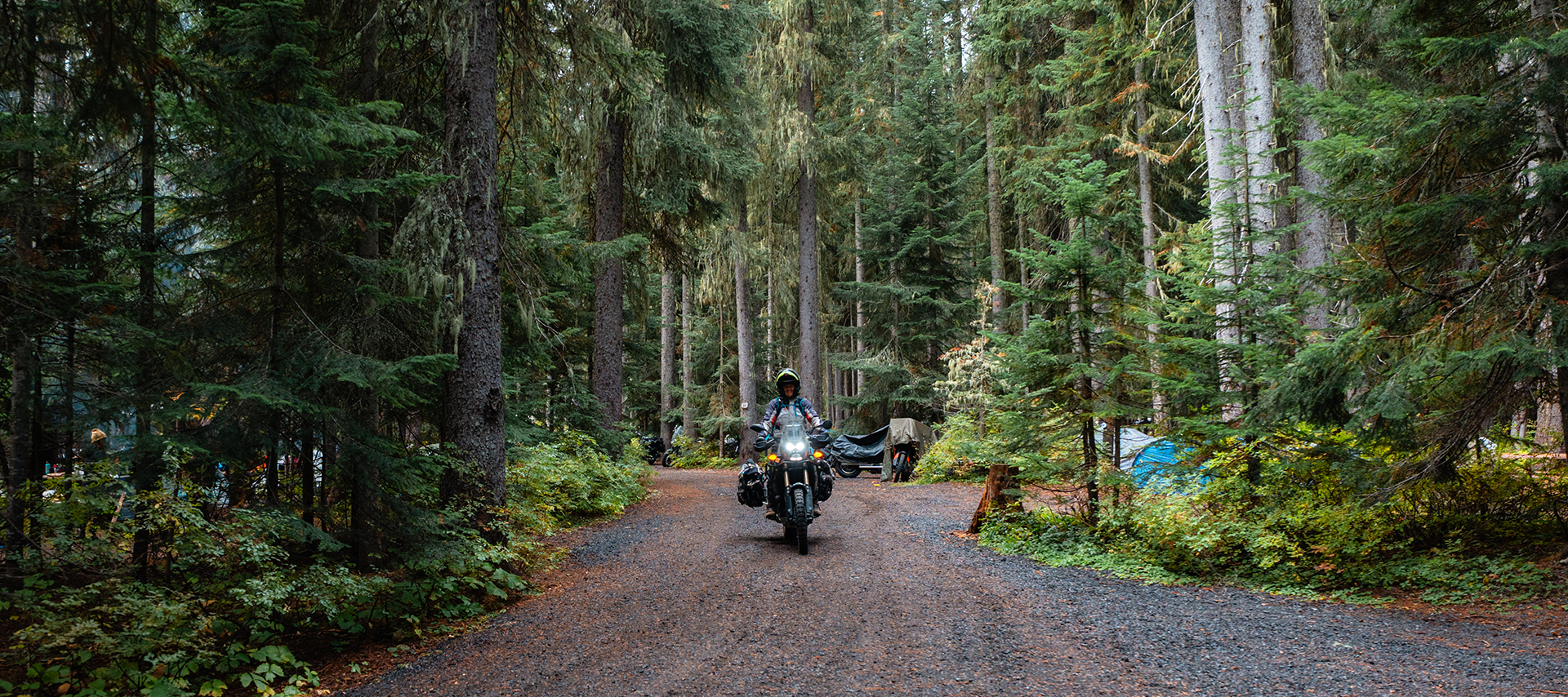 A motorcyclist rides a packed adventure bike down a forested gravel road lined with tents under tall pines.