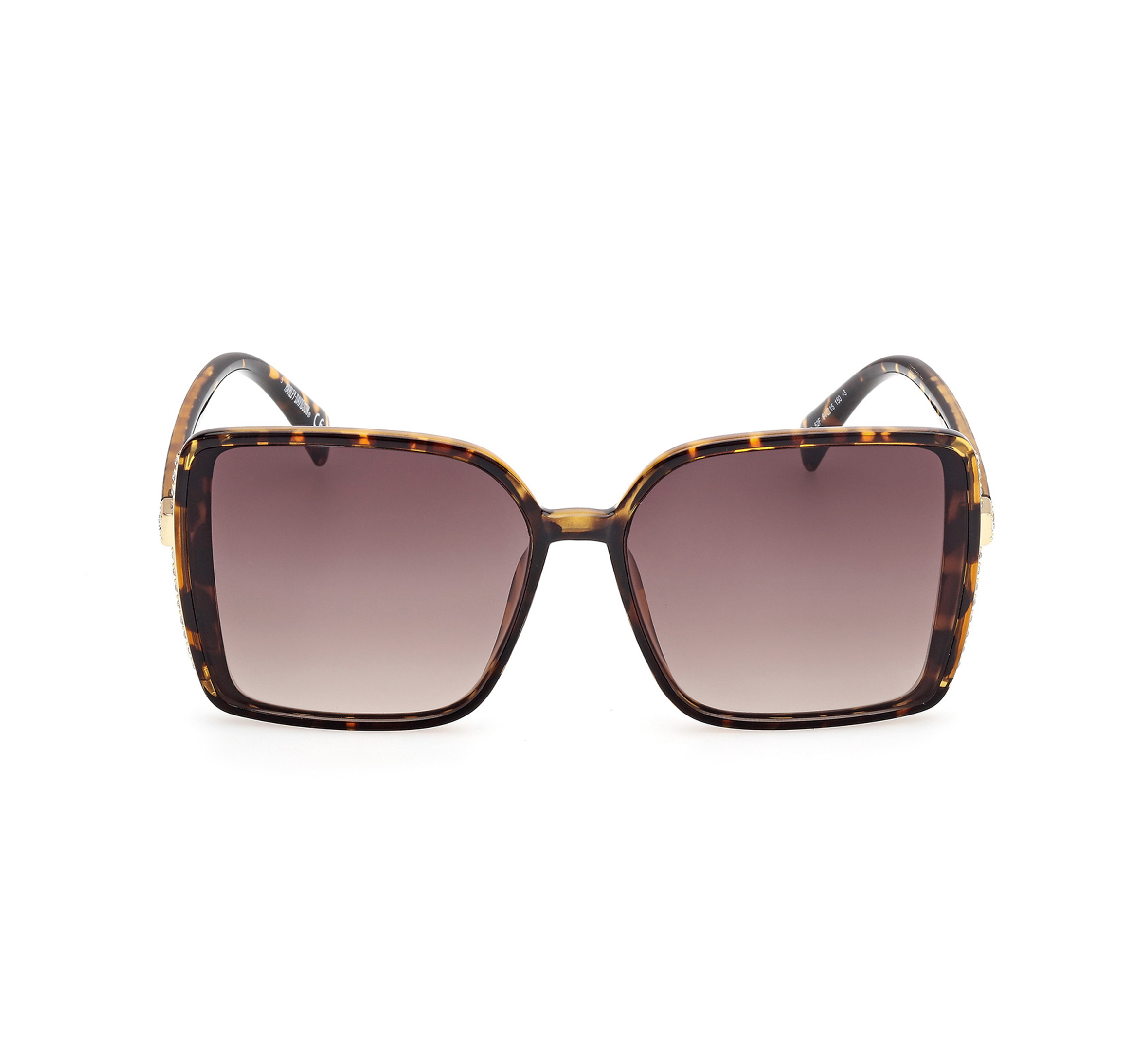 Women's Lifestyles Series