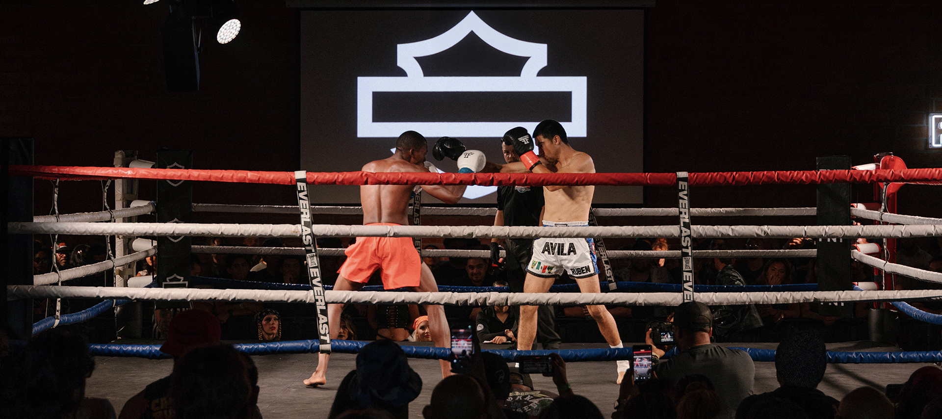 Two boxers exchange punches in a brightly lit ring, surrounded by ropes and a cheering crowd, with a large Harley-Davidson bar and shield logo in the background.