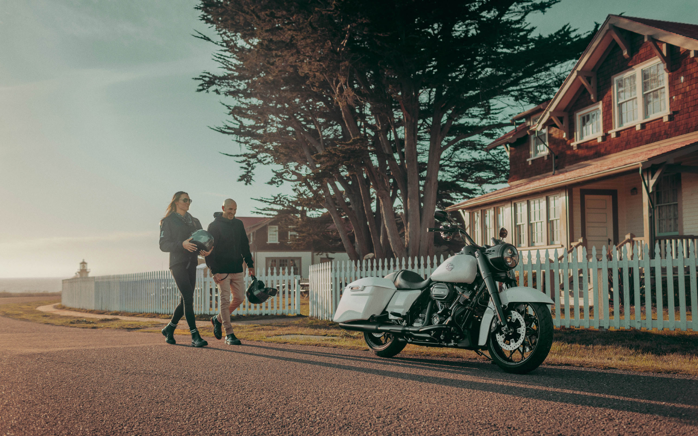 Road King Special motorcycle images