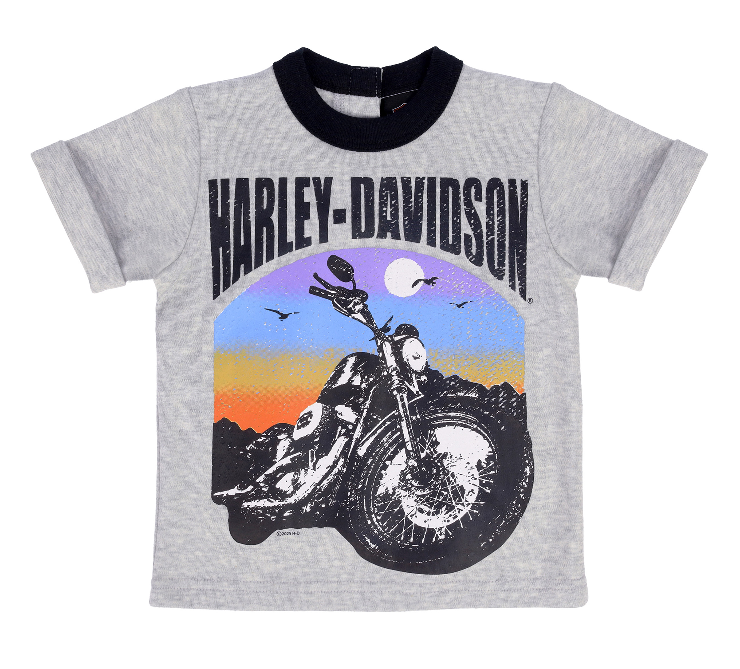 Toddler Boys Knit Short Set