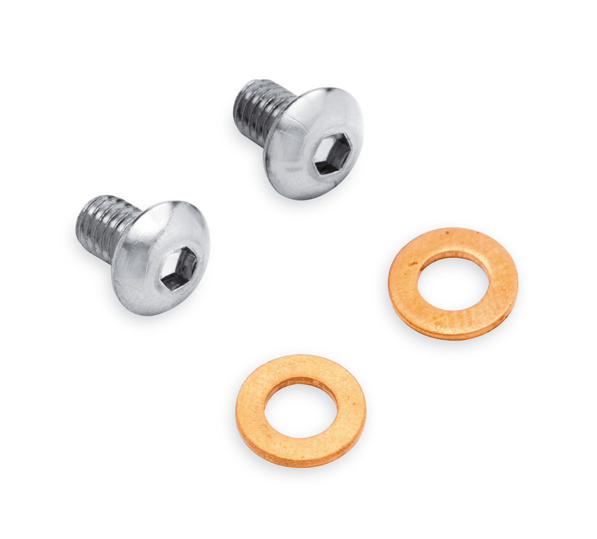 Chrome Fork Slider Drain Screw Kit