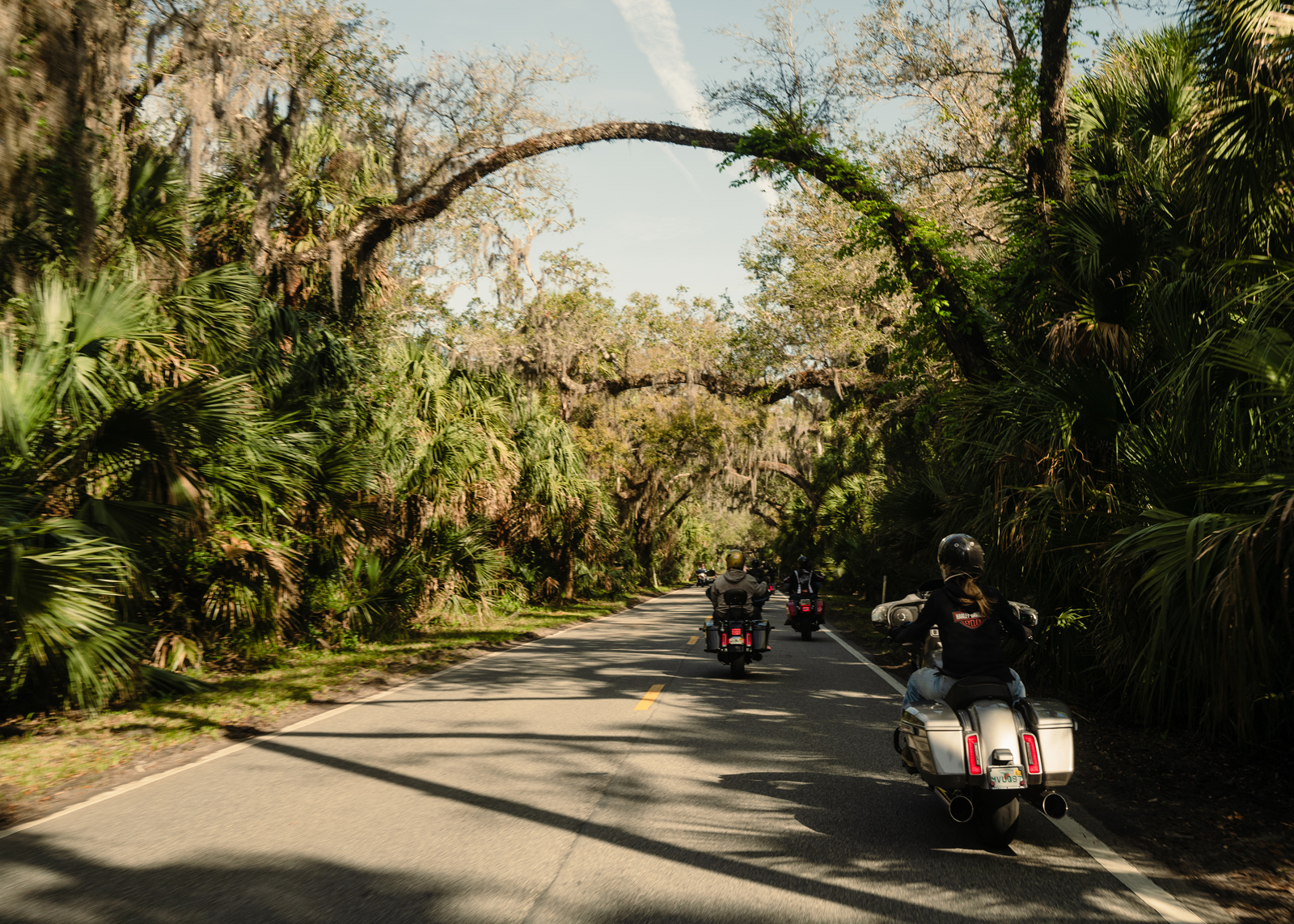A line of bikes riding through a tunnel of tropical plants and Spanish moss