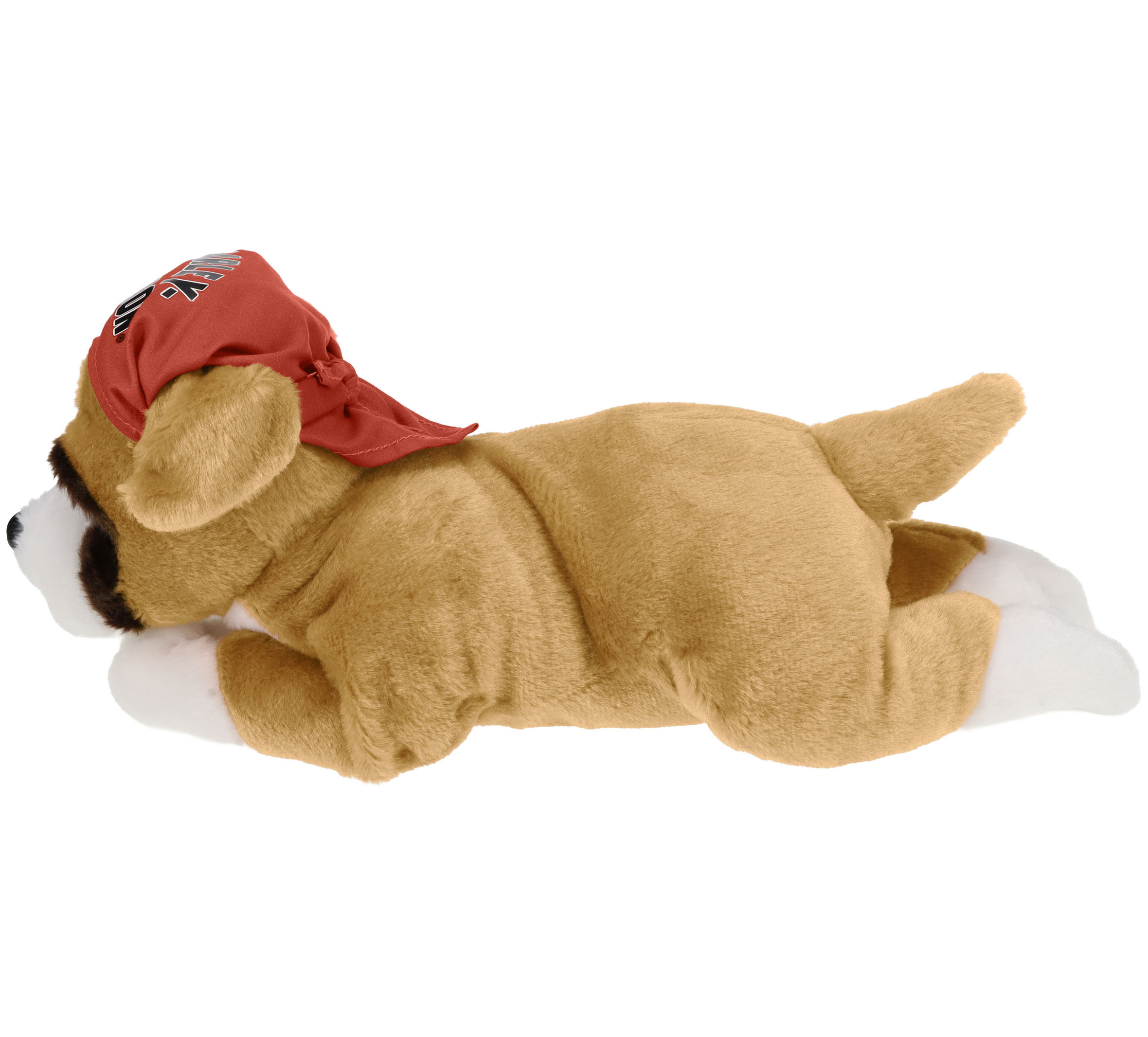 "Babe The Boxer" Plush Cuddle Bud