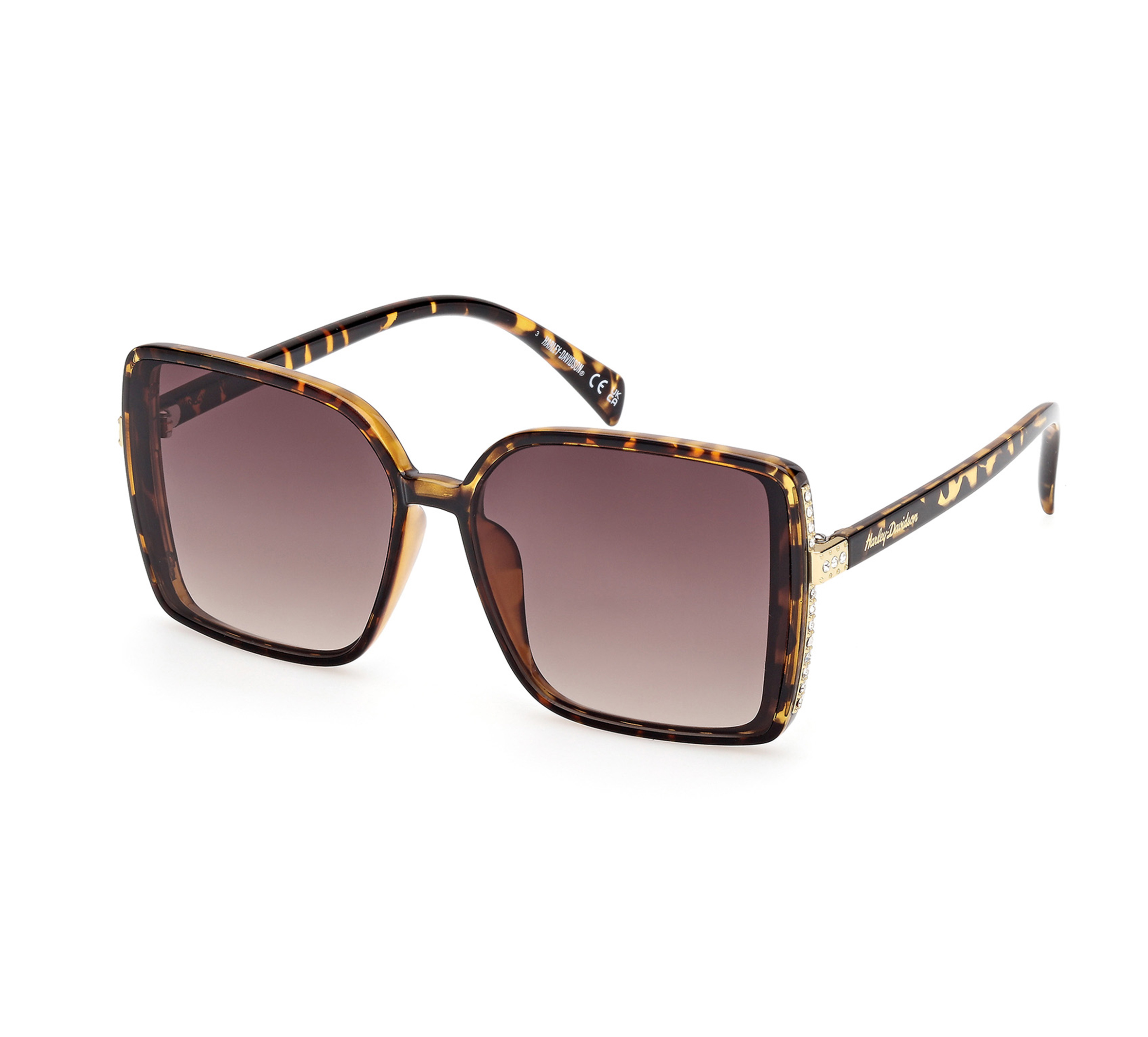 Women's Lifestyles Series